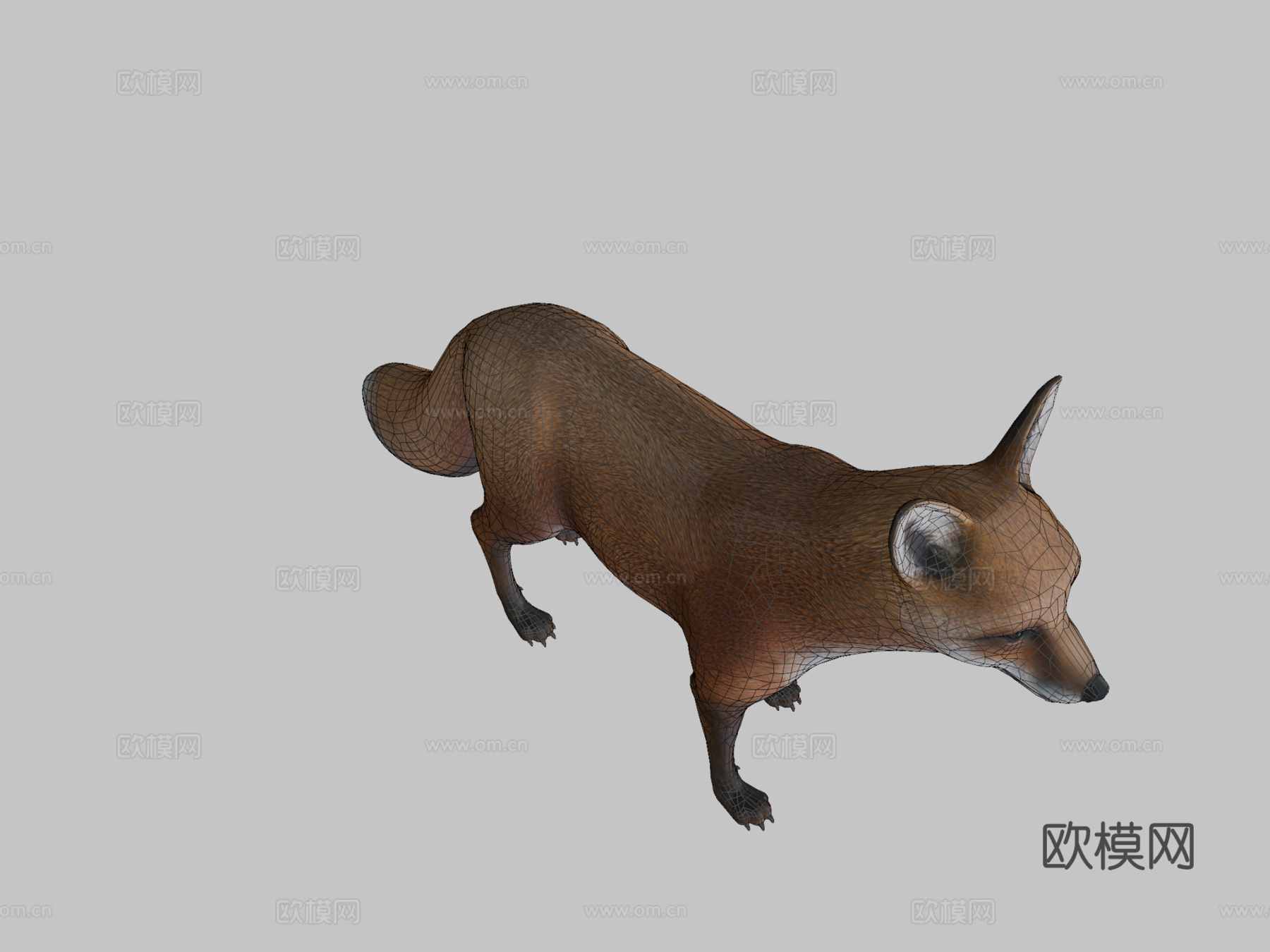 狐狸待机3d模型