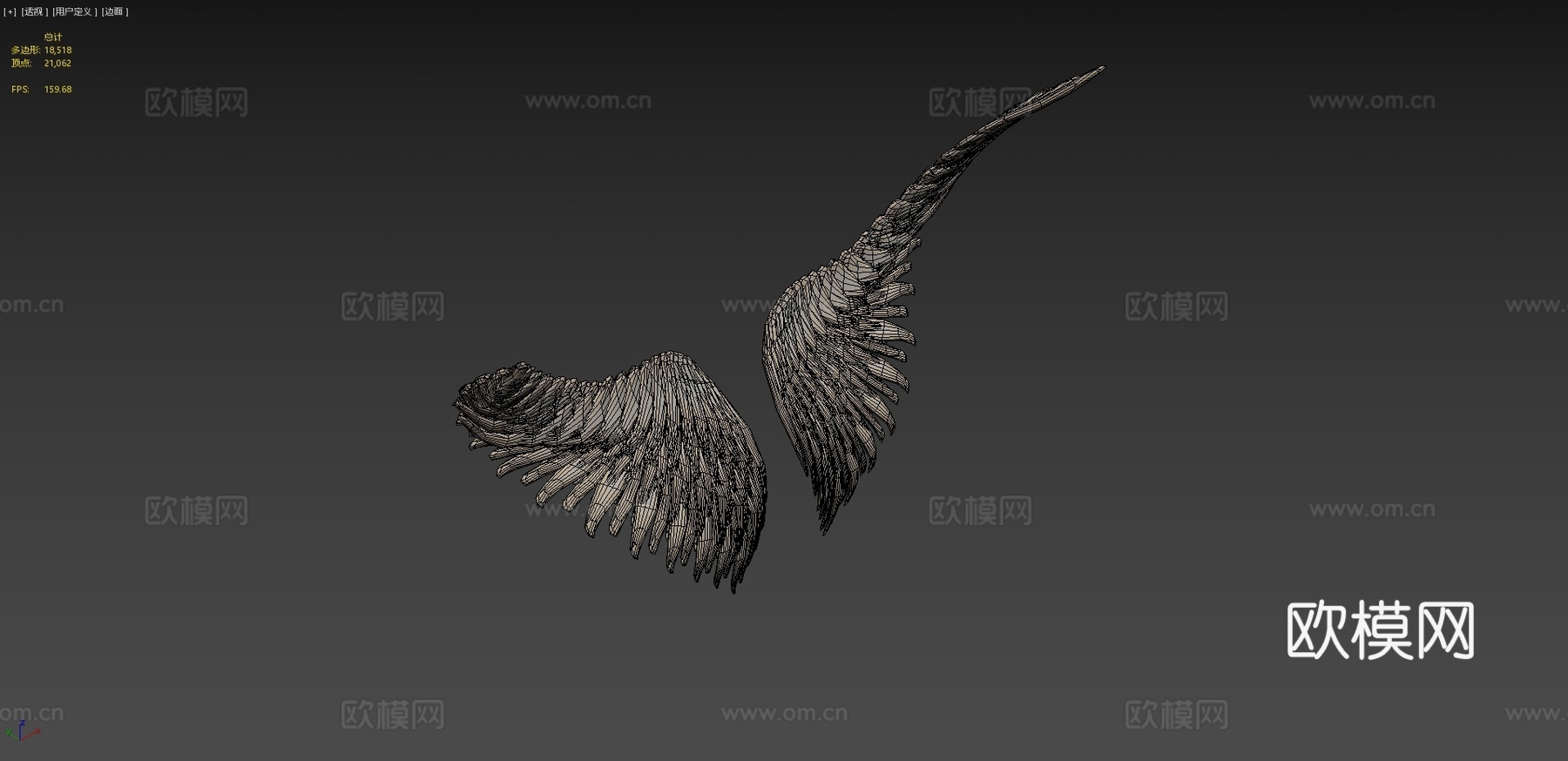 翅膀3d模型