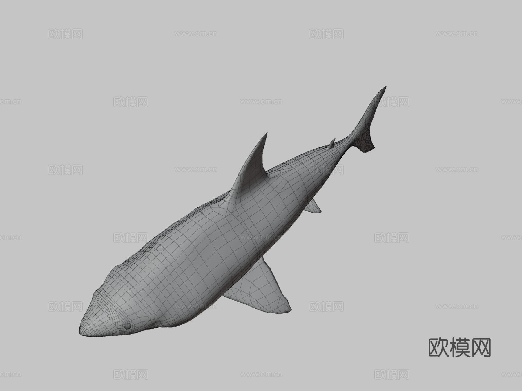 鲨鱼3d模型