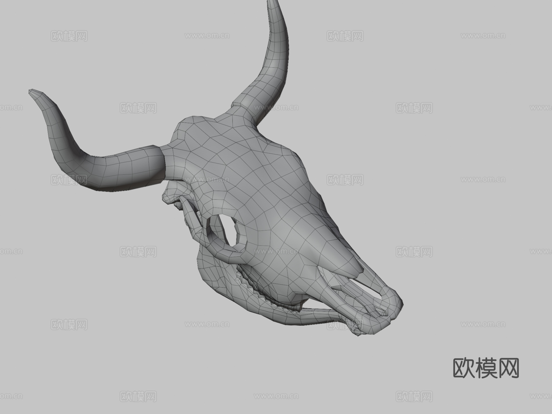 牛头骨3d模型