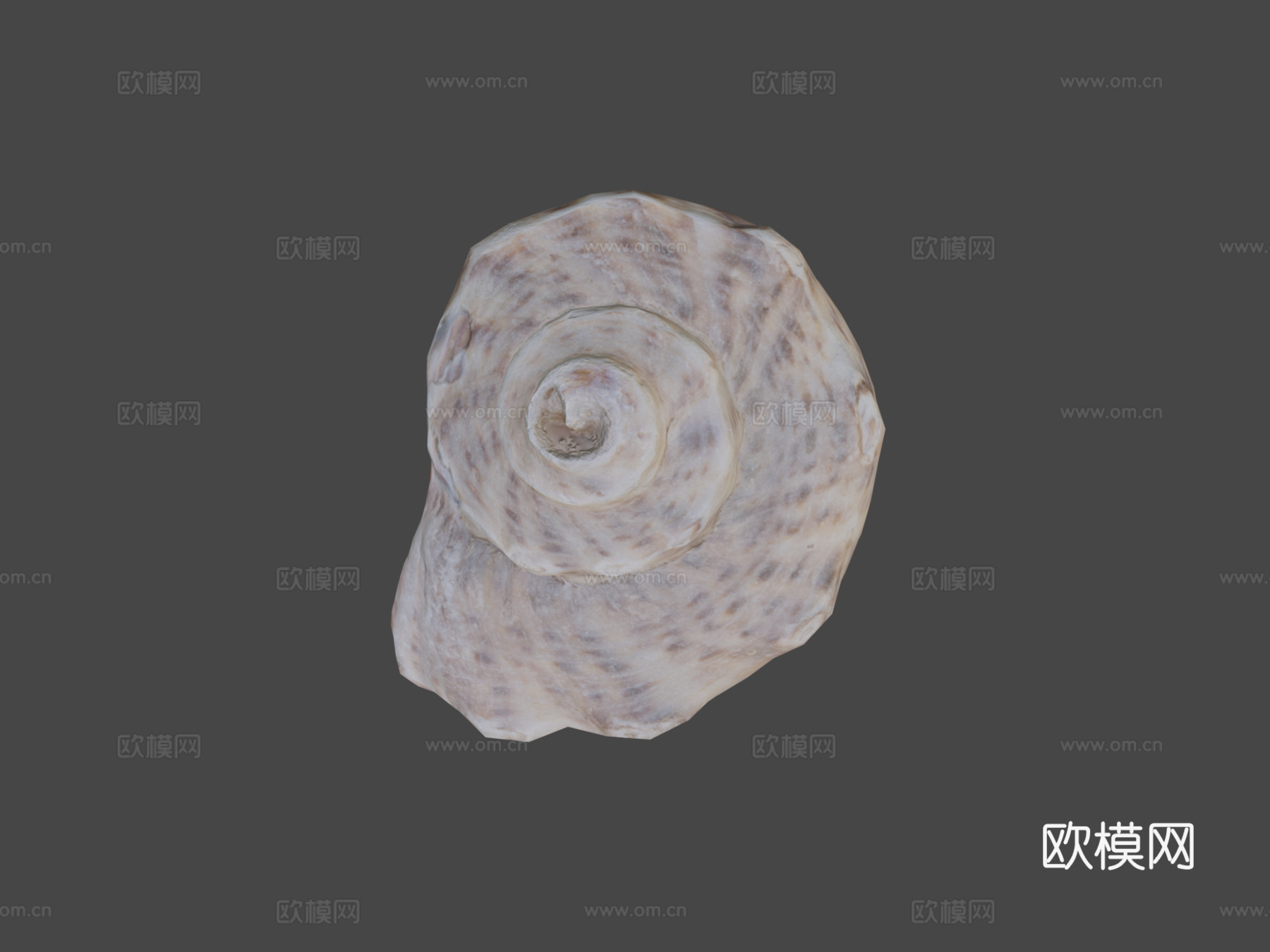 贝壳-PBR游戏道具3d模型