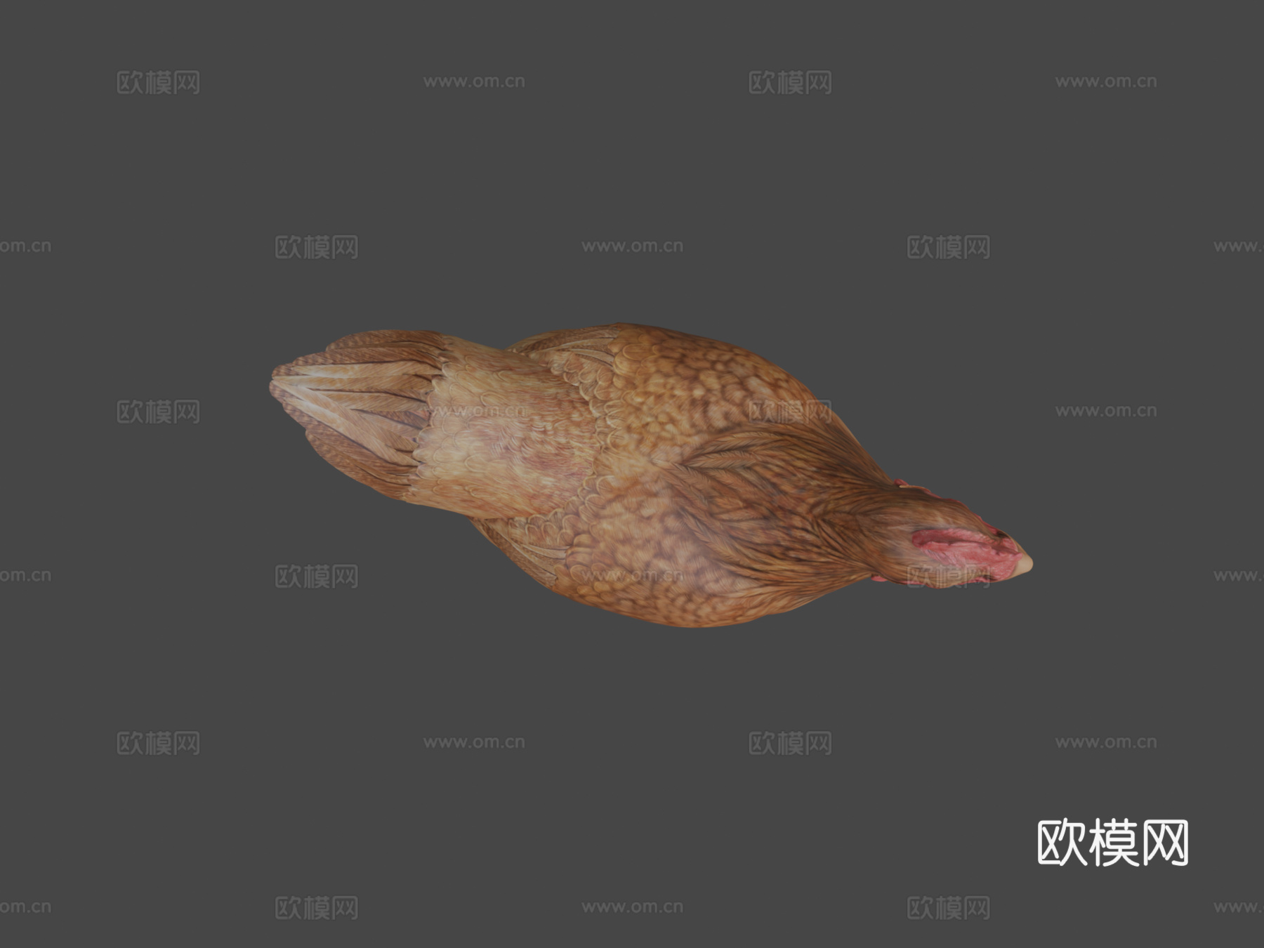 鸡3d模型