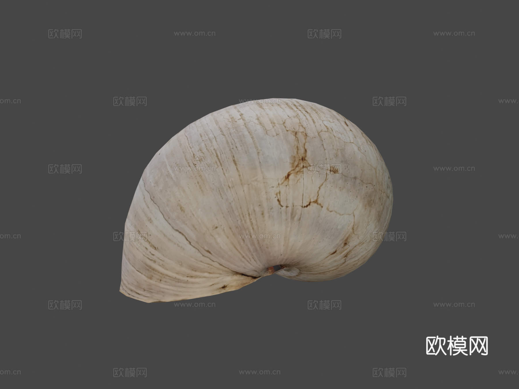蜗牛壳3d模型