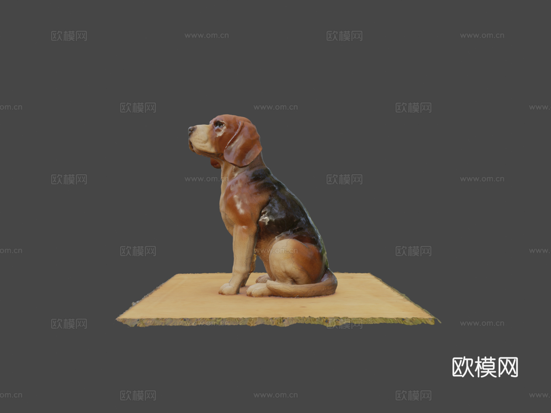 比格犬3d模型