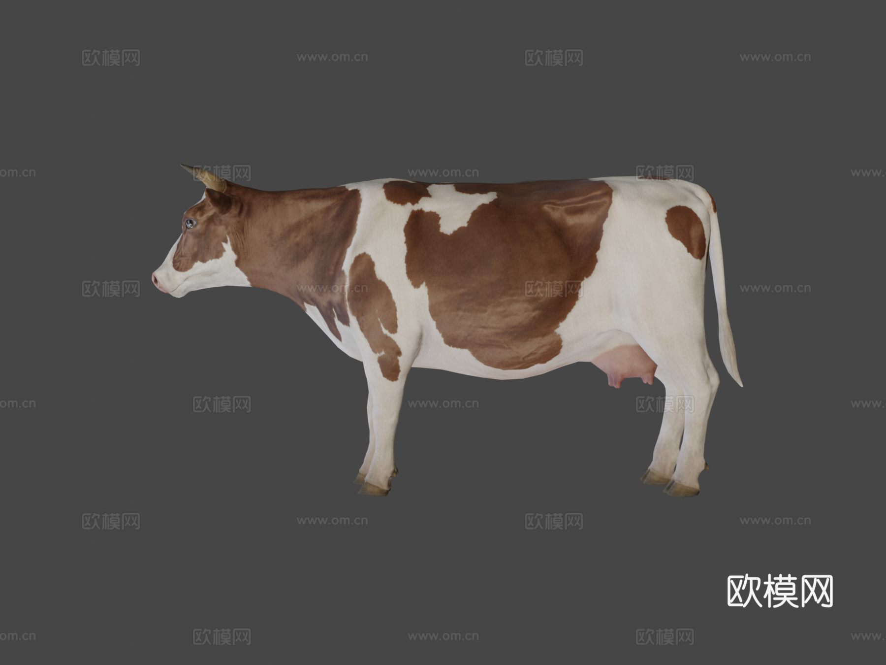 牛动画3d模型