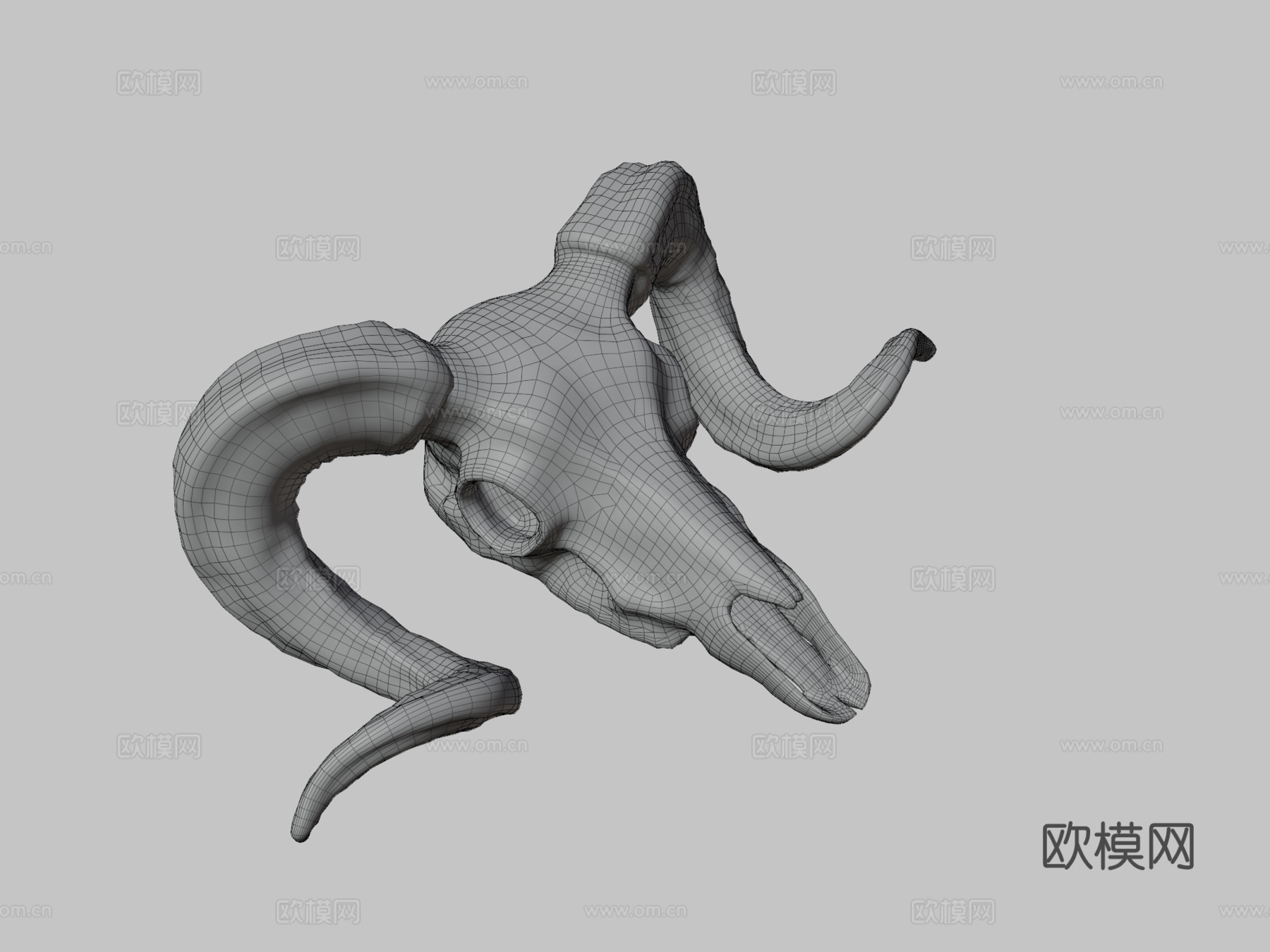 大角羊头骨3d模型