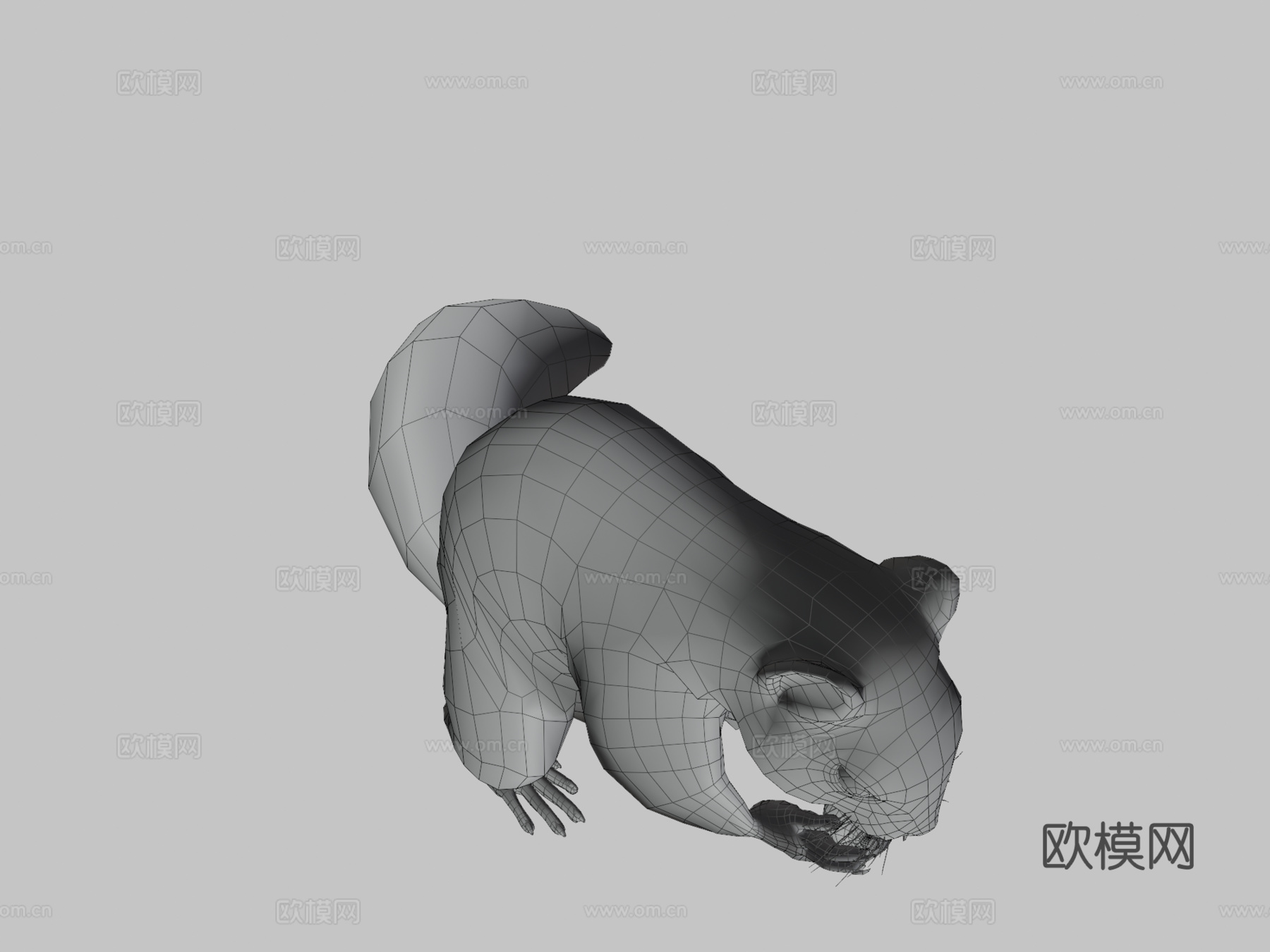 松鼠动画3d模型