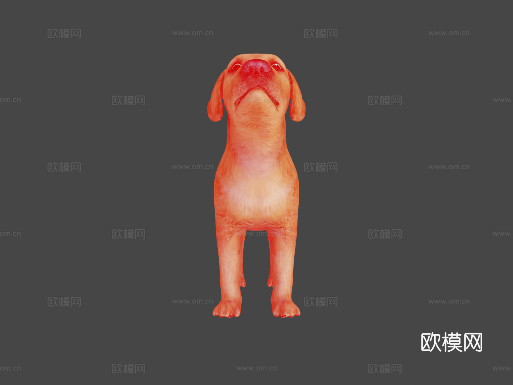 小狗幼崽3d模型