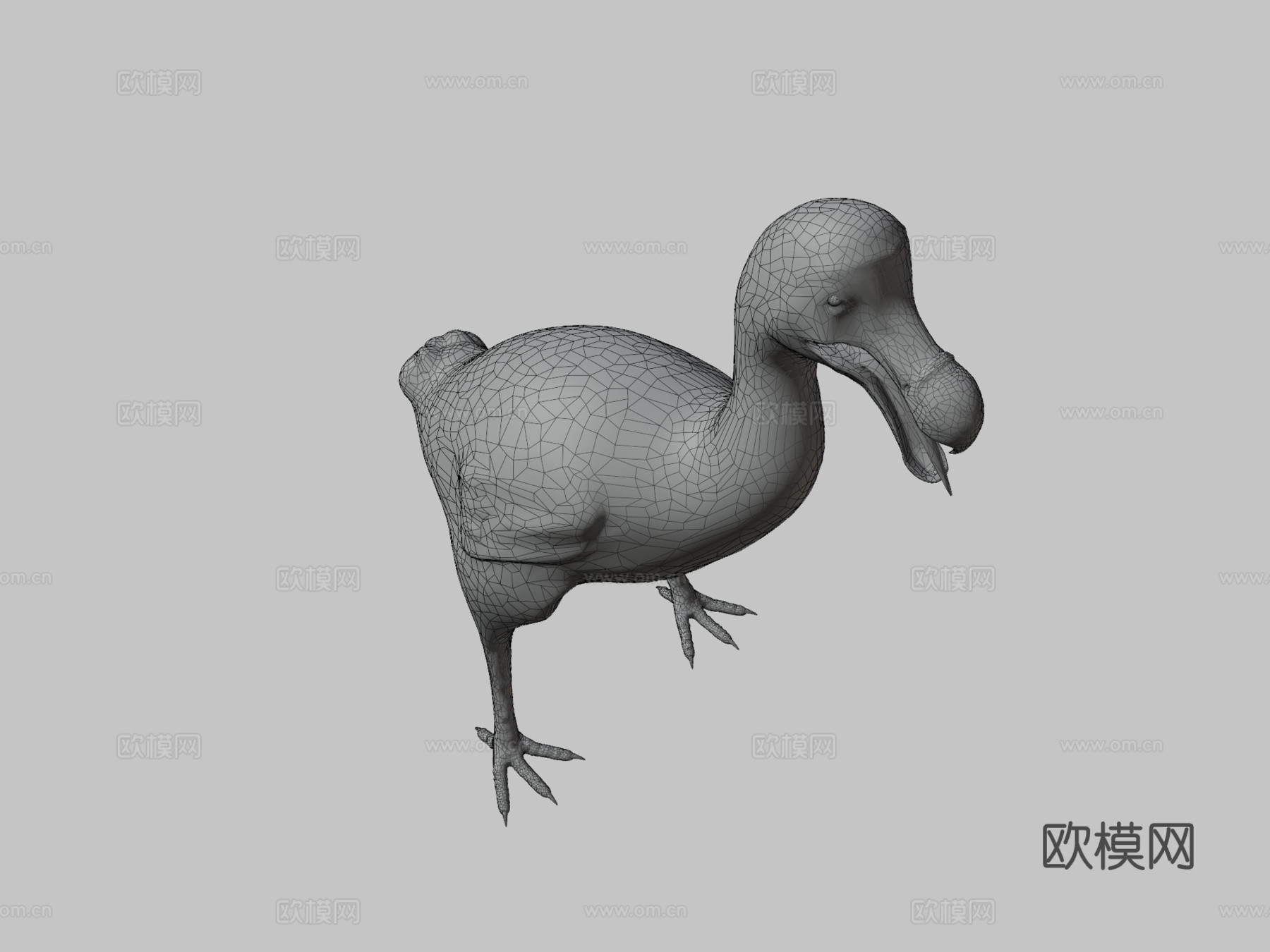 渡渡鸟[灭绝鸟类]3d模型