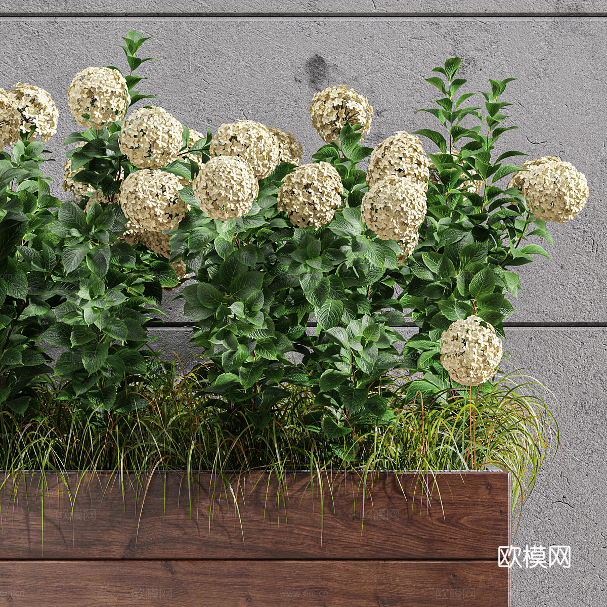 植物箱 花箱3d模型