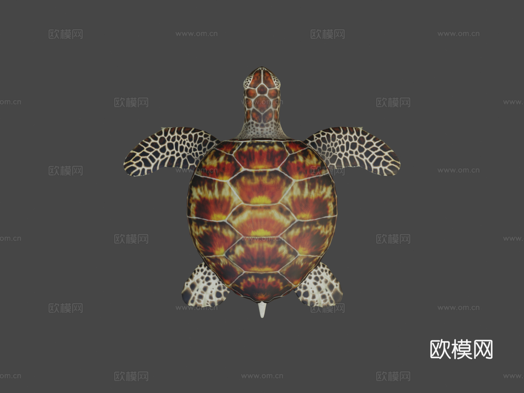 绿海龟3d模型