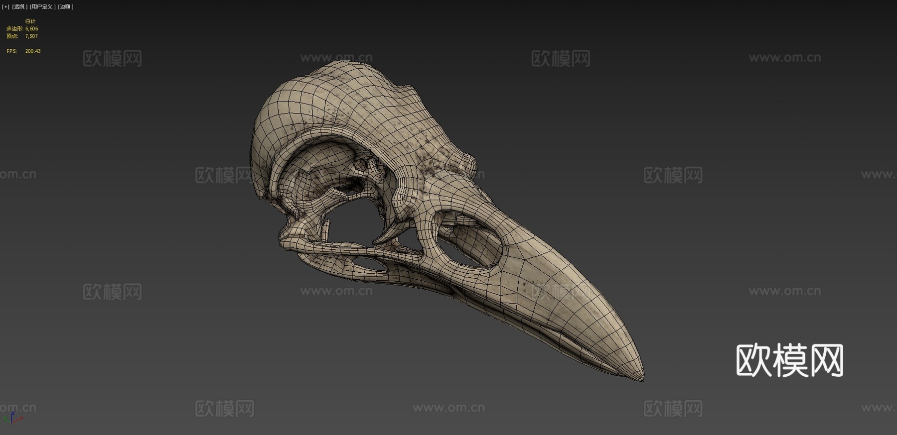 乌鸦头骨3d模型