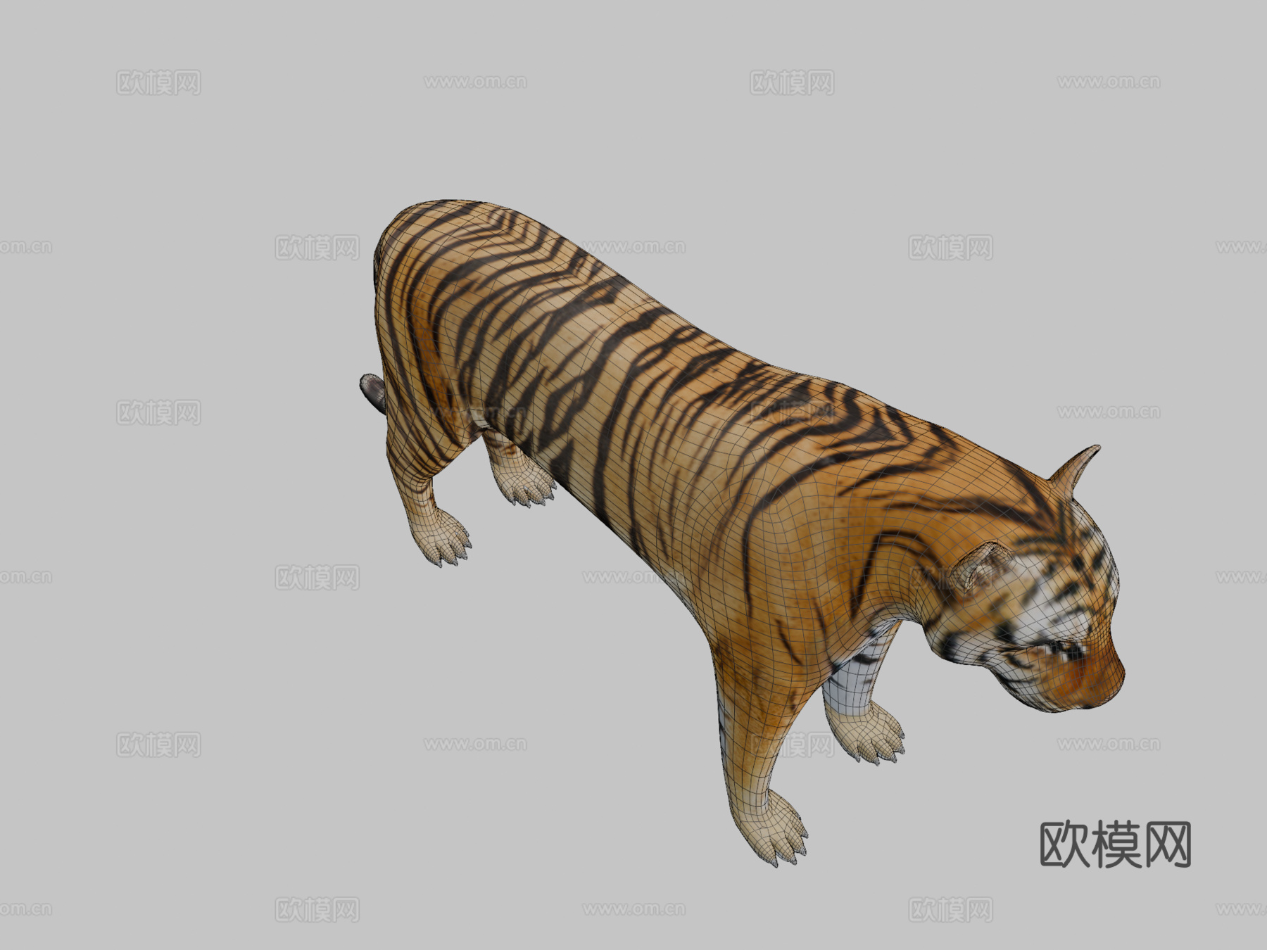 西伯利亚虎3d模型