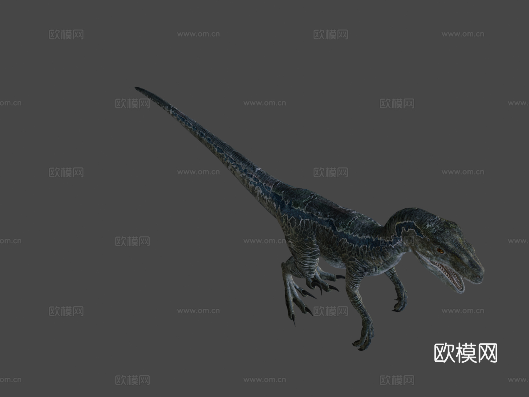 迅猛龙蓝色3d模型