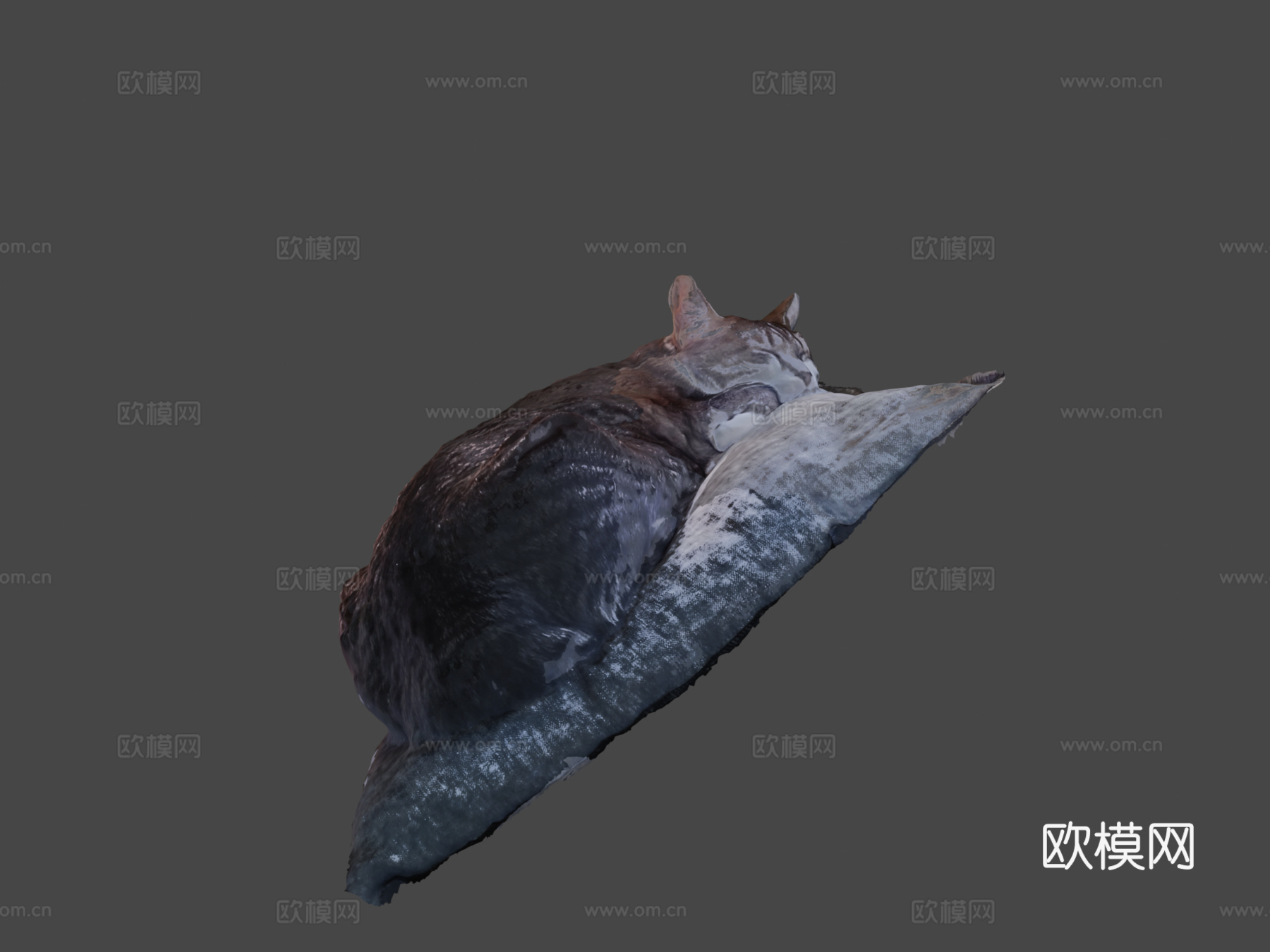 舒适瞌睡猫3d模型