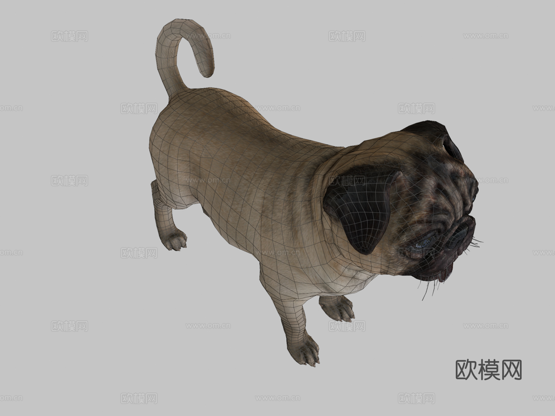 狗-哈巴狗3d模型