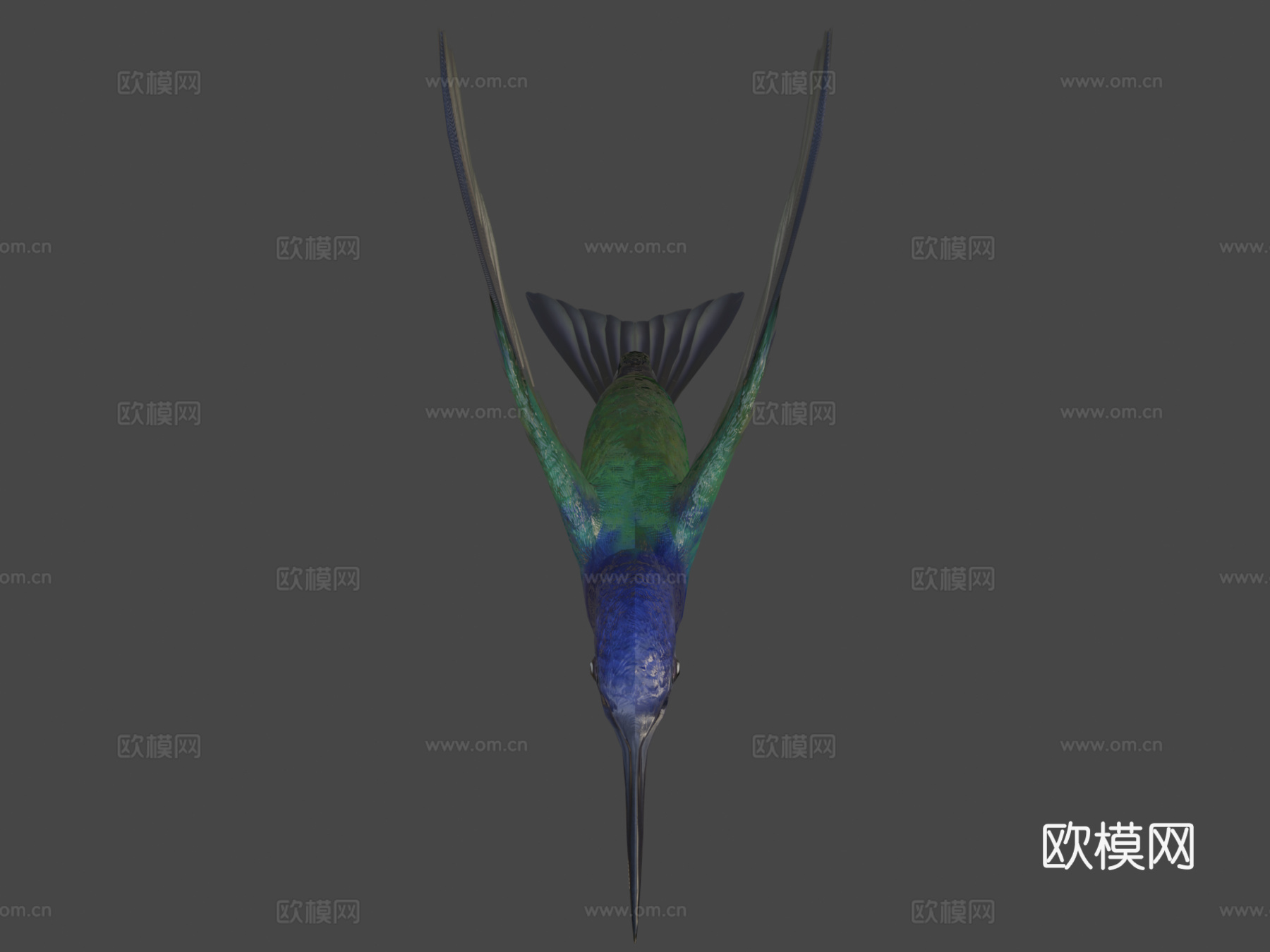 燕尾蜂鸟3d模型