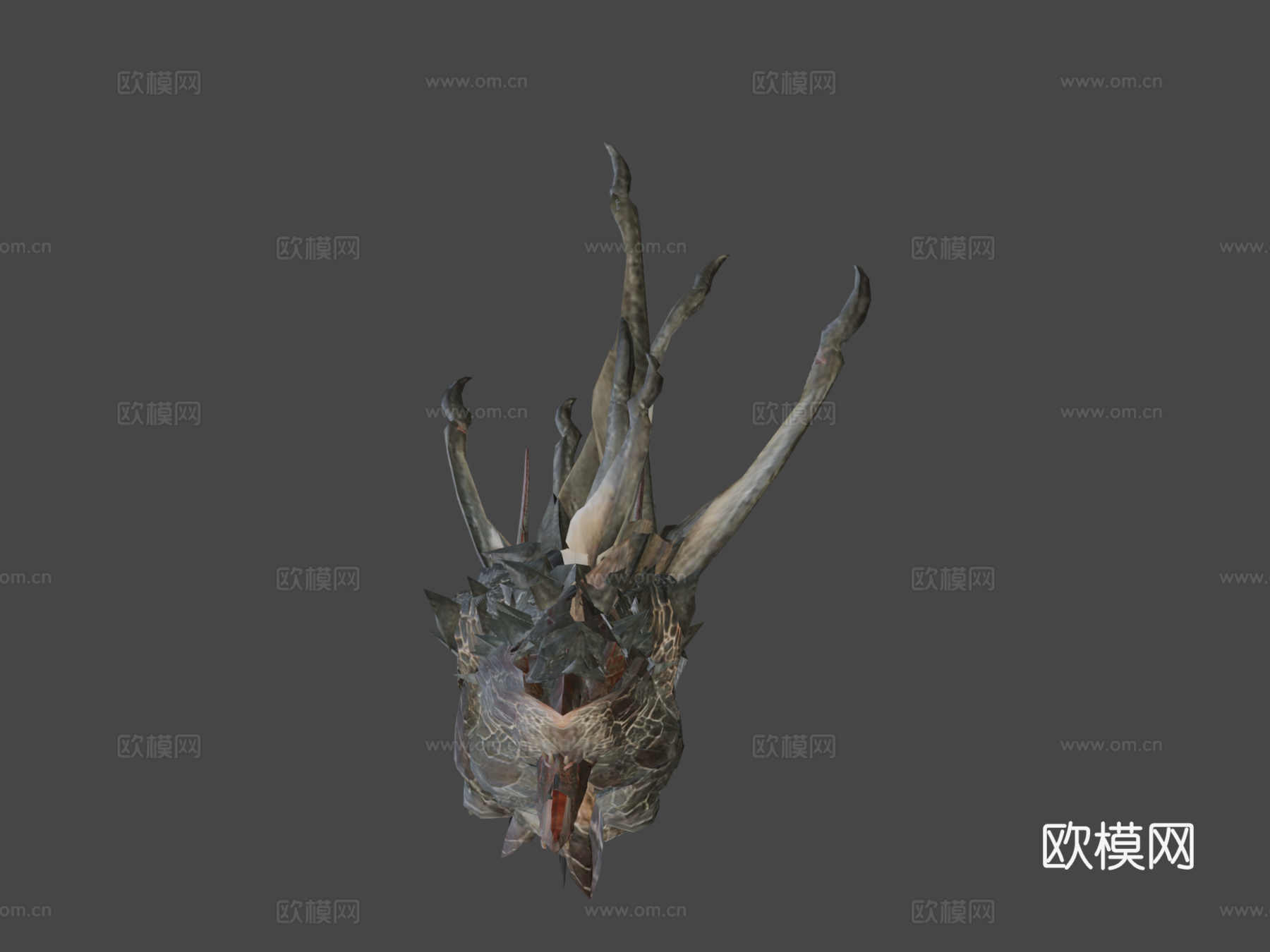 双足飞龙动画3d模型
