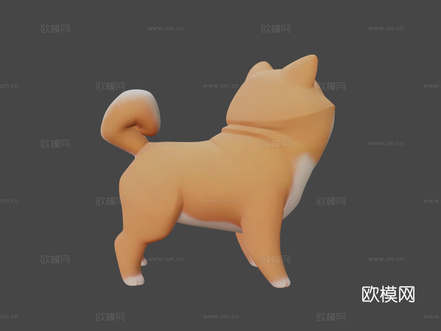超棒柴犬男孩3d模型