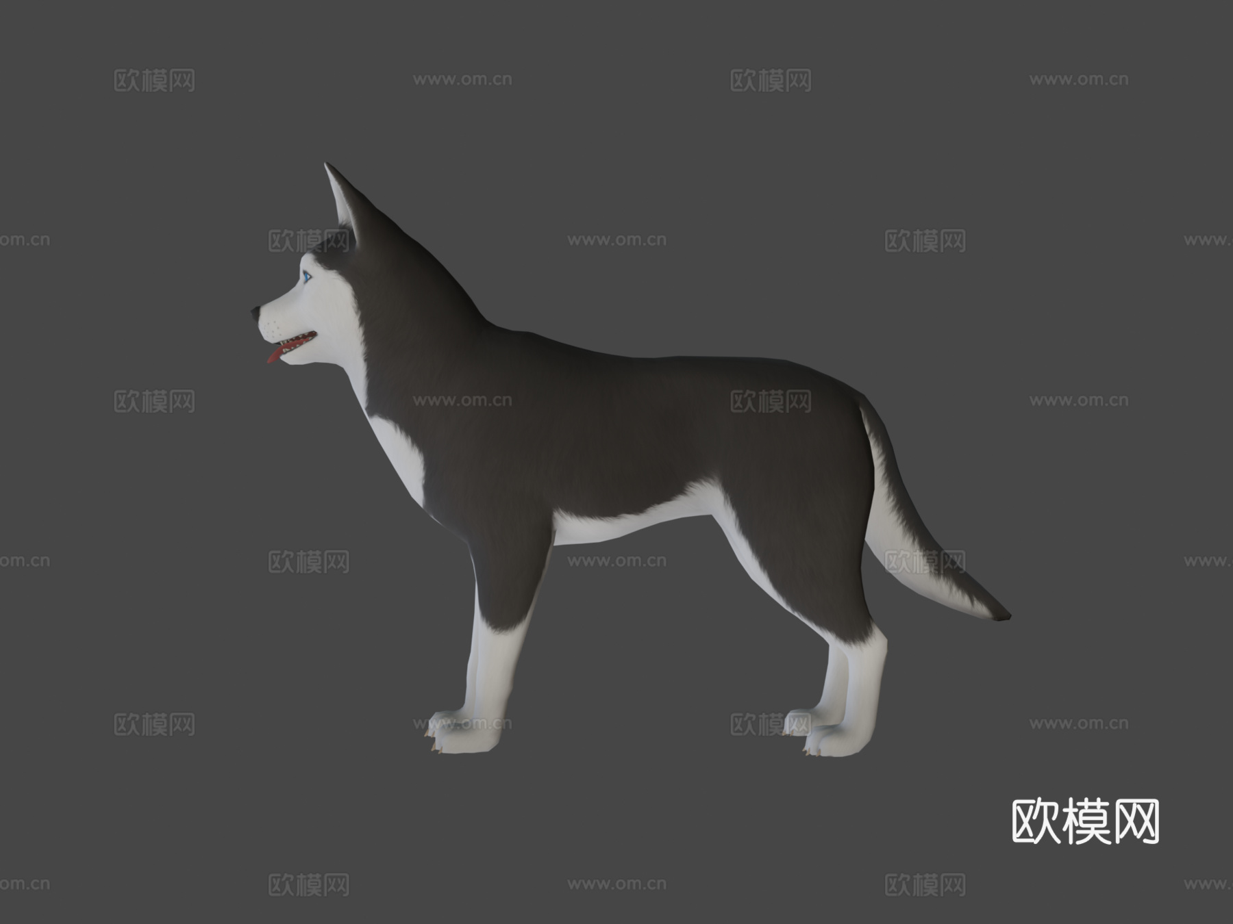 哈士奇犬3d模型