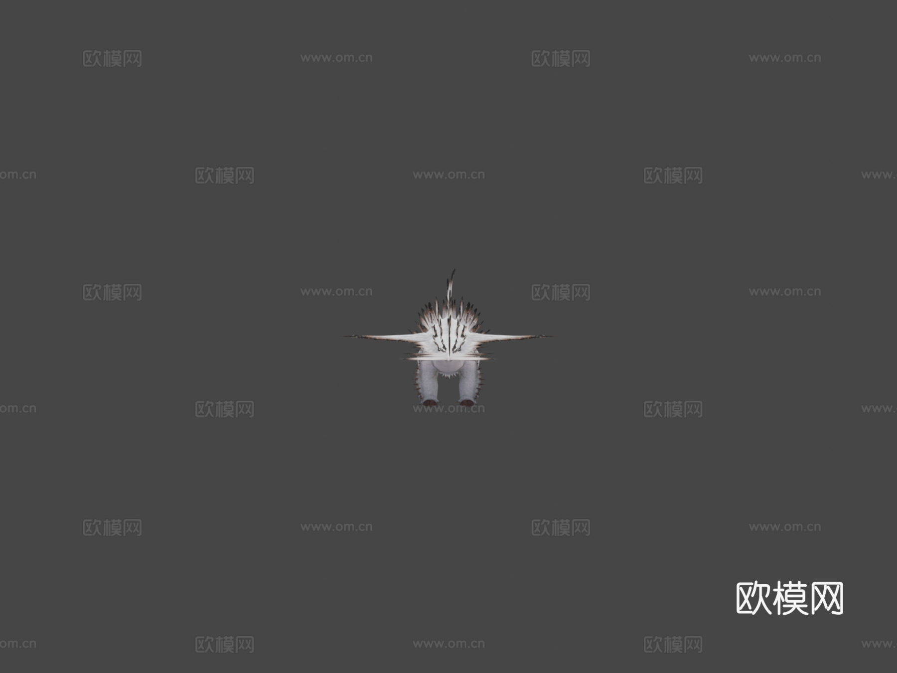驯龙高手迷惑龙模型[原版]3d模型