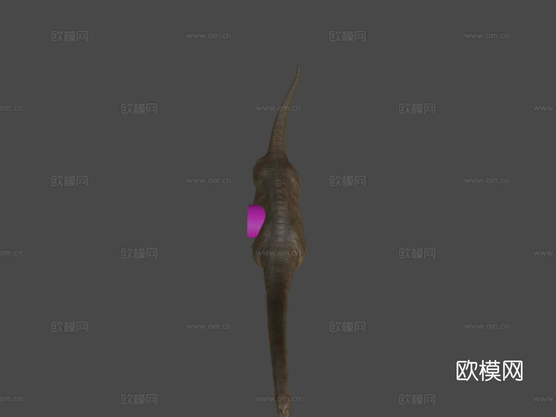 腕龙3d模型