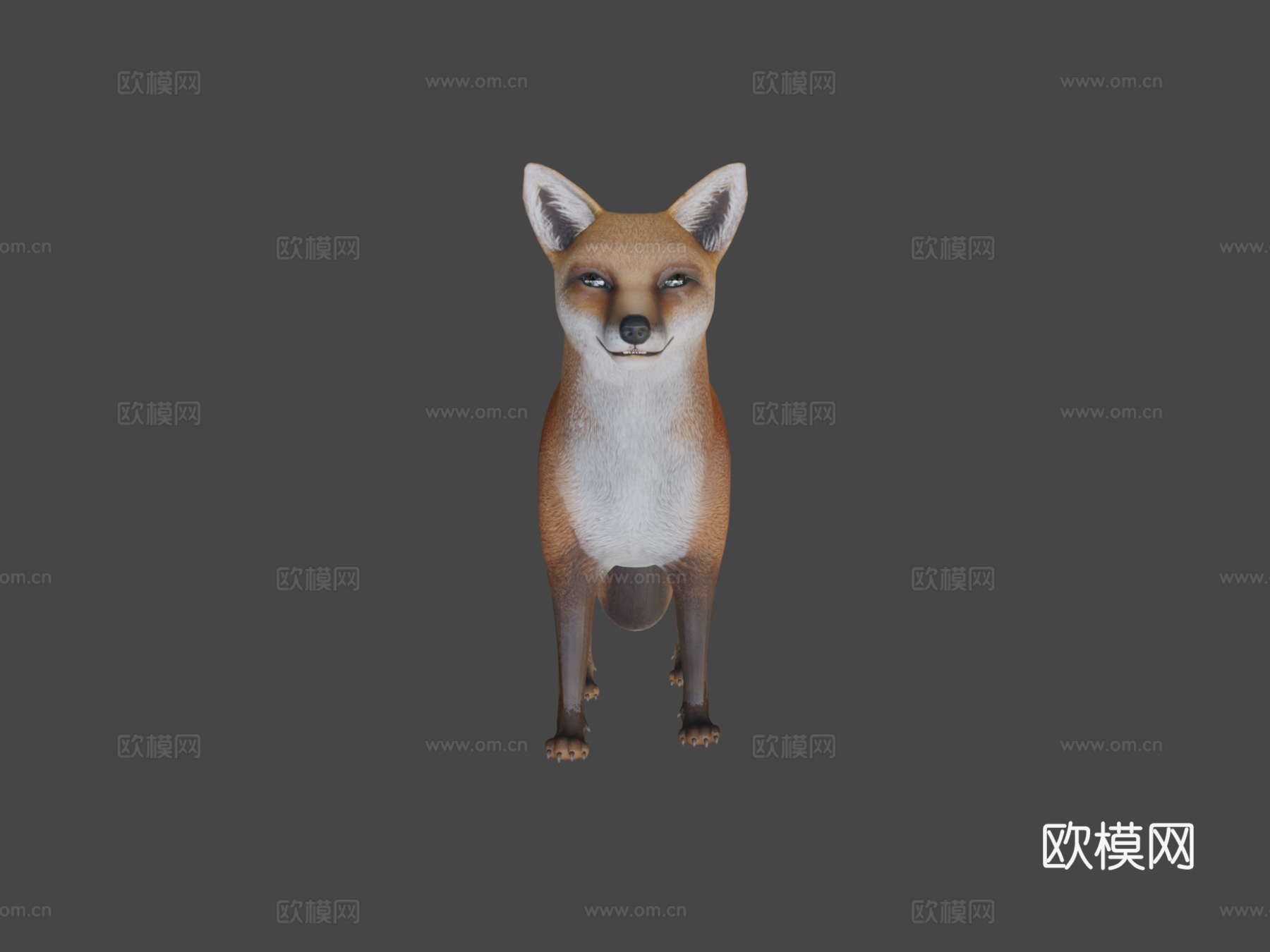 狐狸待机3d模型