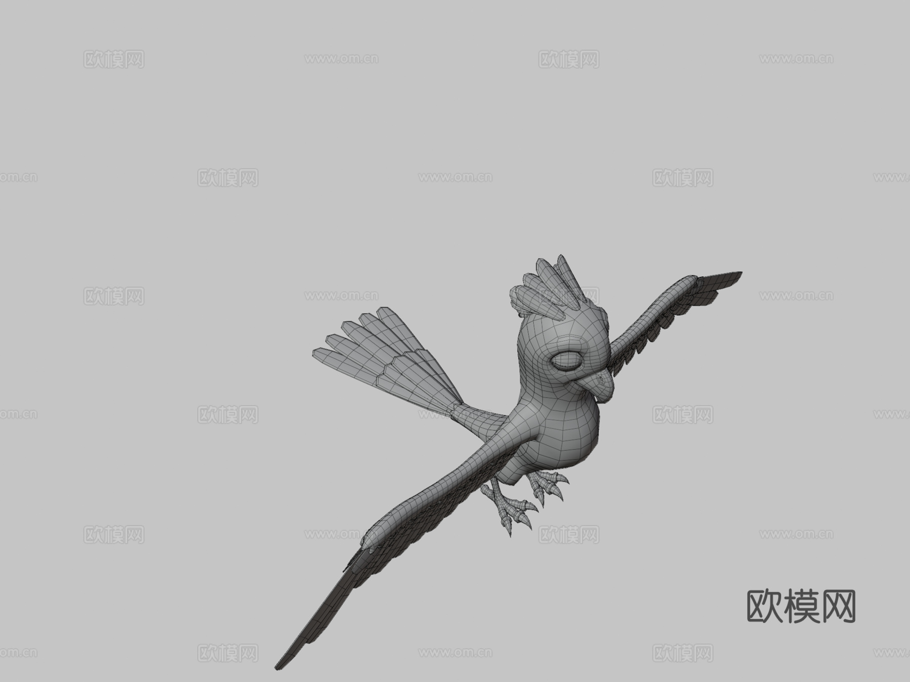 鸟类3d模型