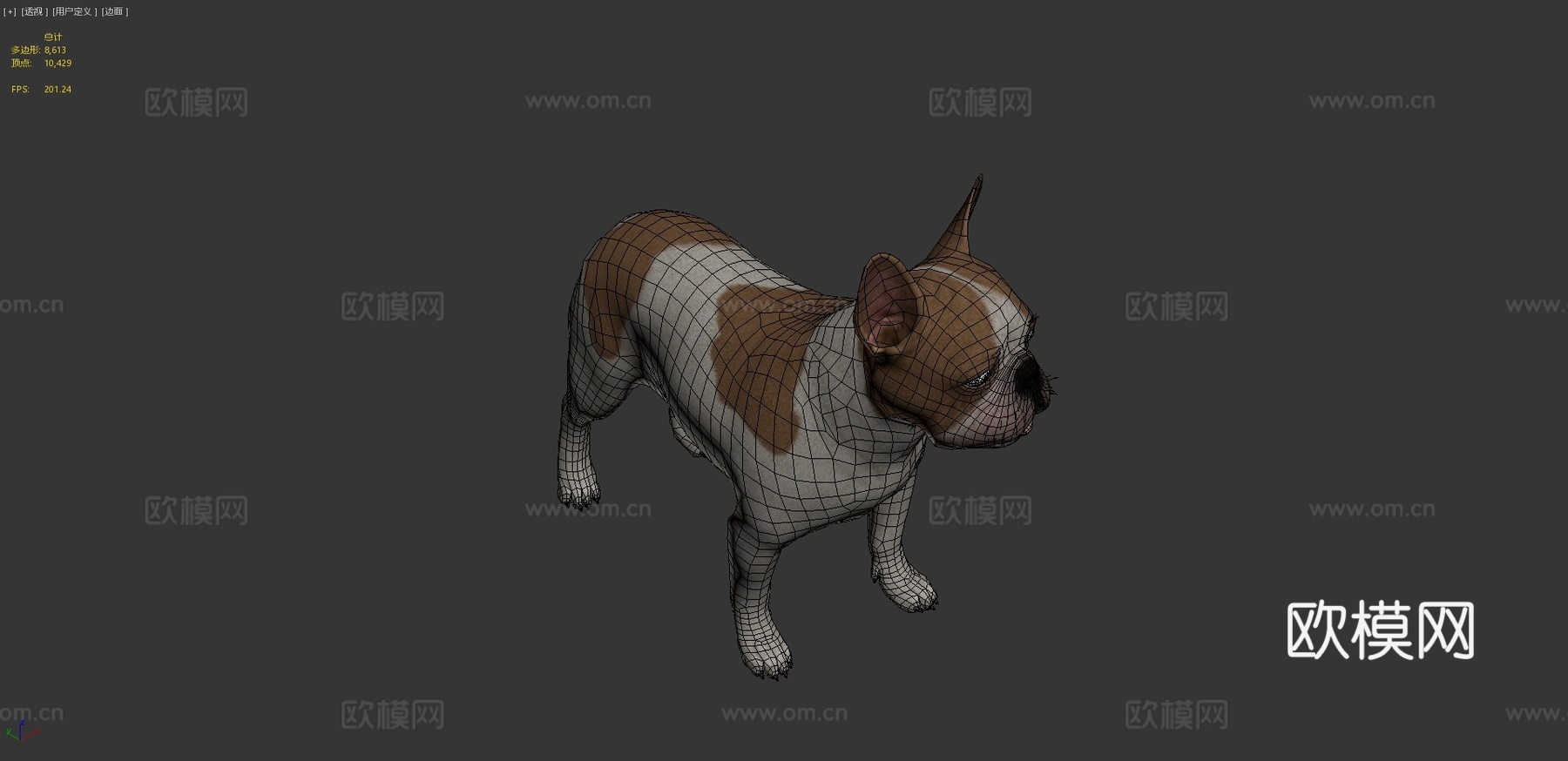 法国斗牛犬3d模型