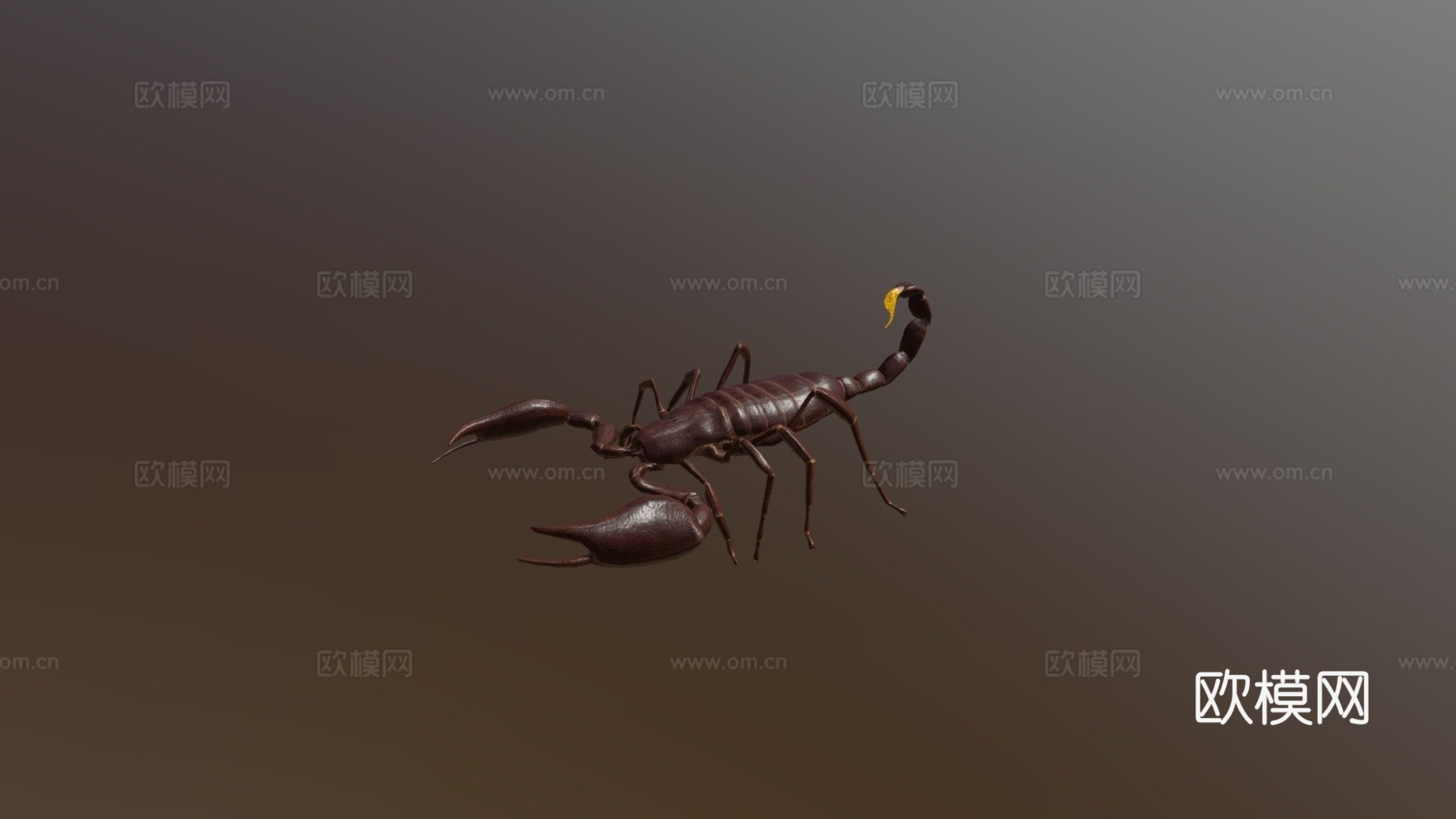 蝎子3d模型
