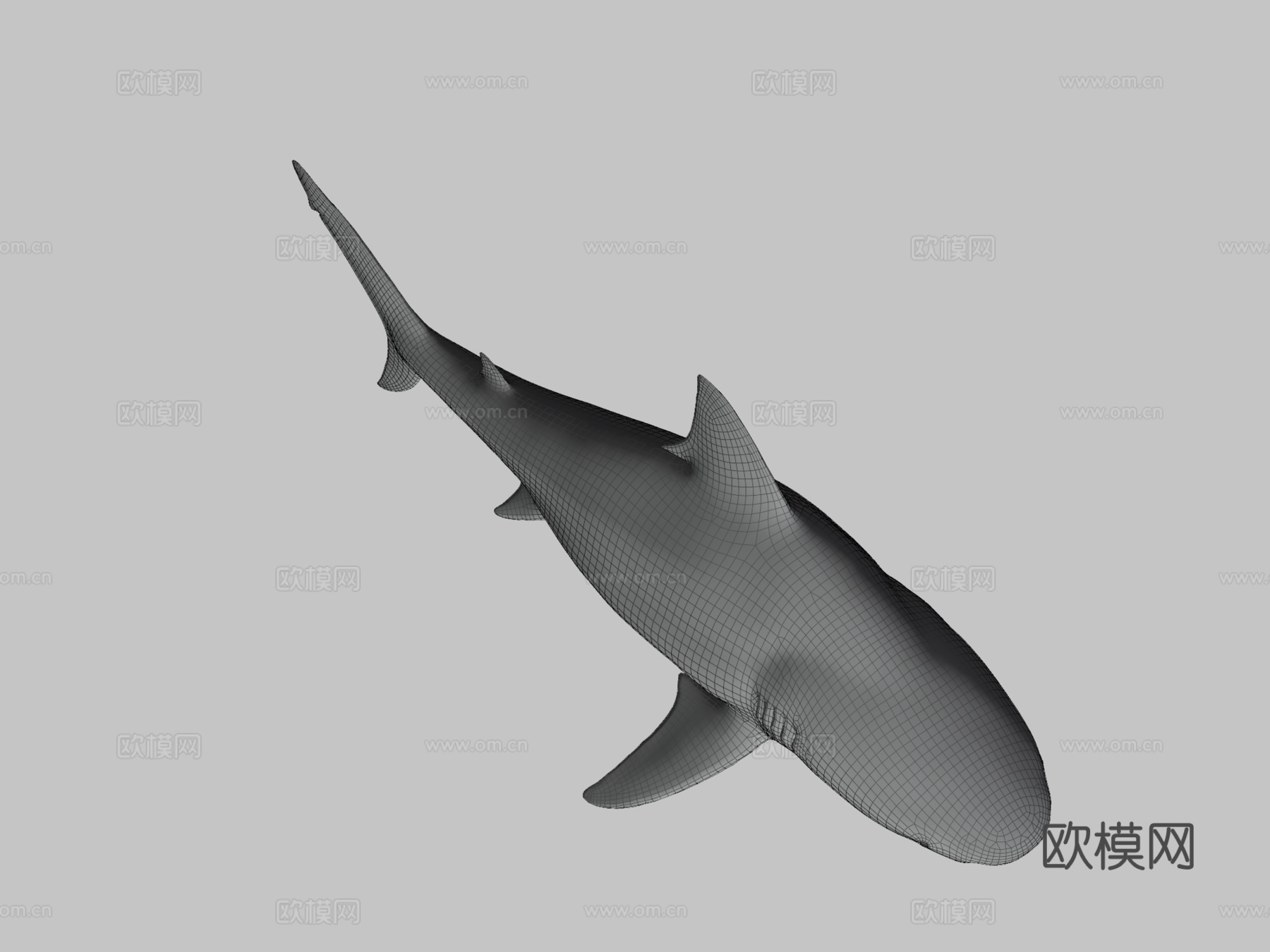 公牛鲨3d模型