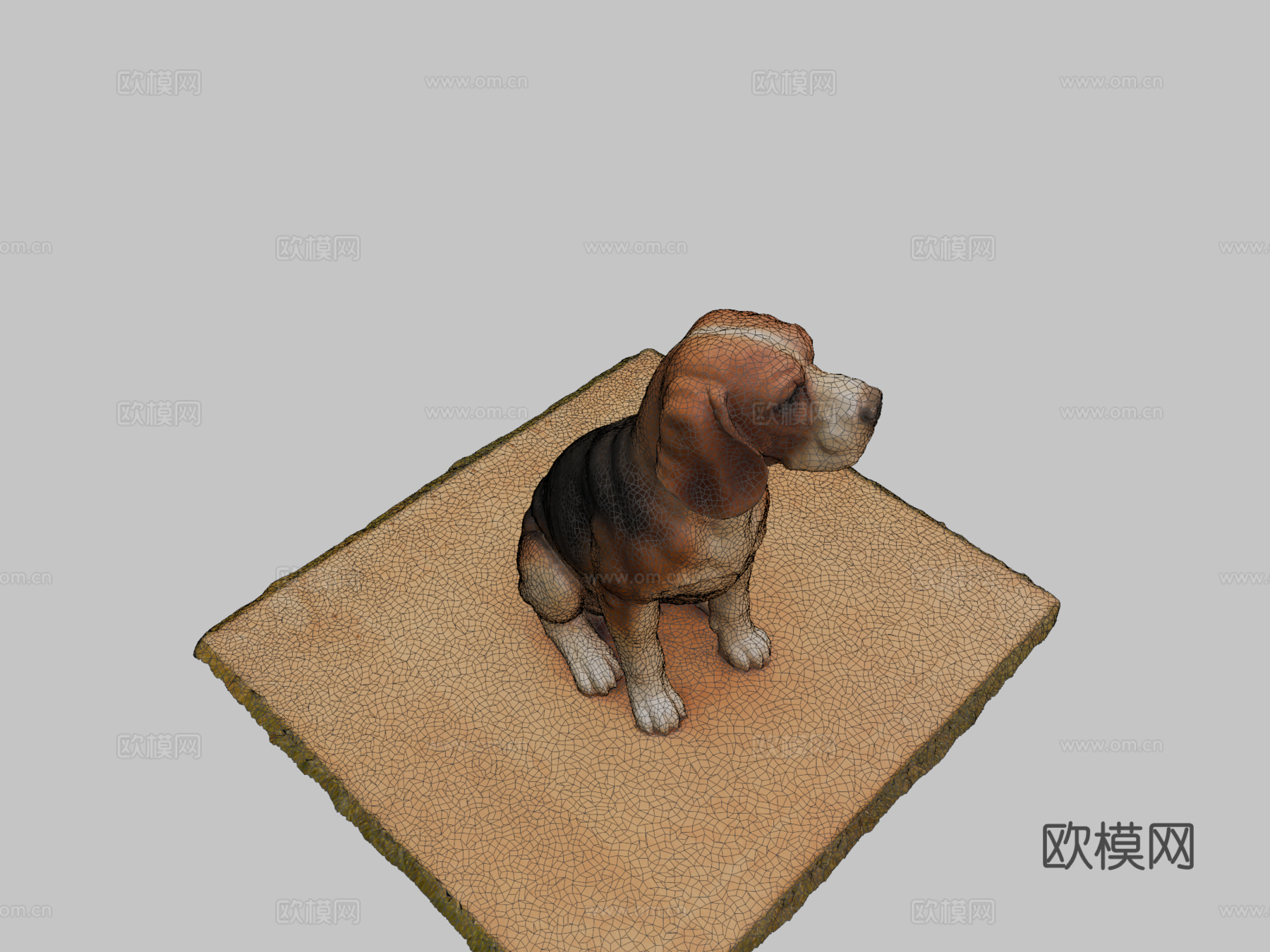 比格犬3d模型