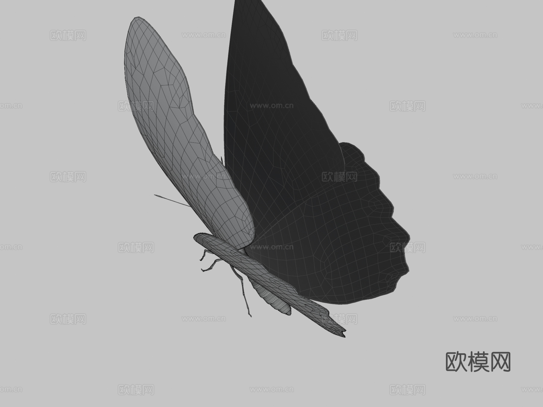 动画蓝闪蝶3d模型