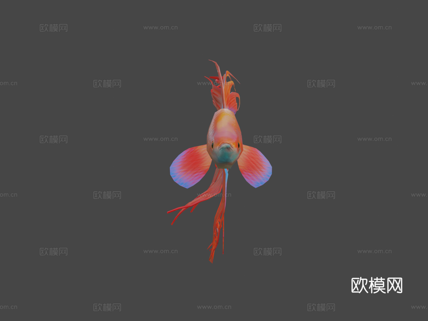 红色斗鱼3d模型