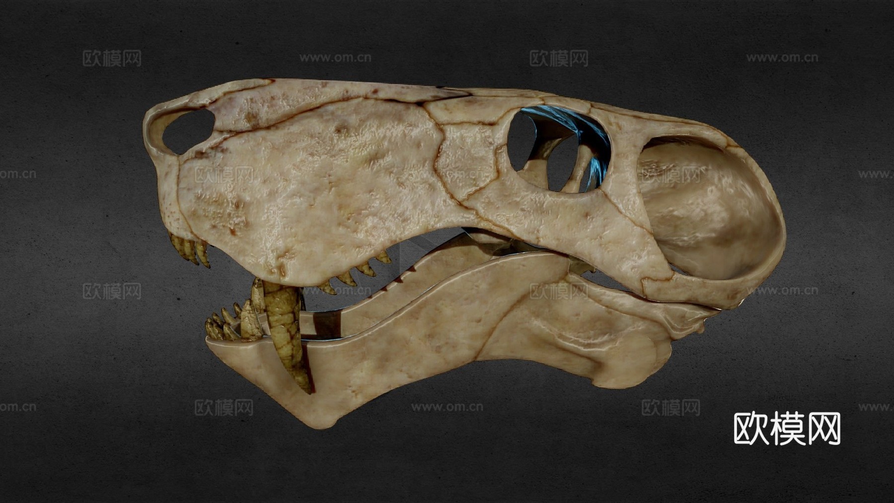 蛇齿龙3d模型