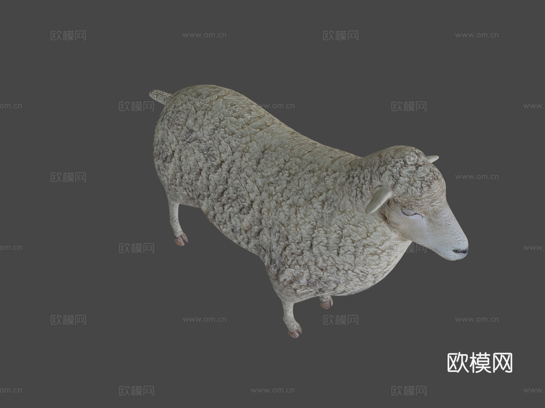 绵羊3d模型