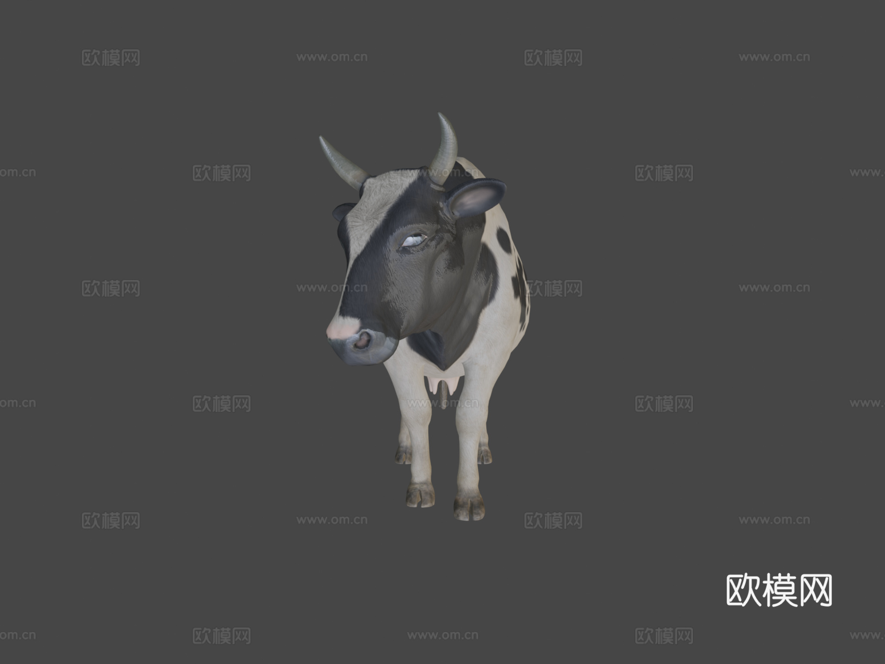 奶牛3d模型