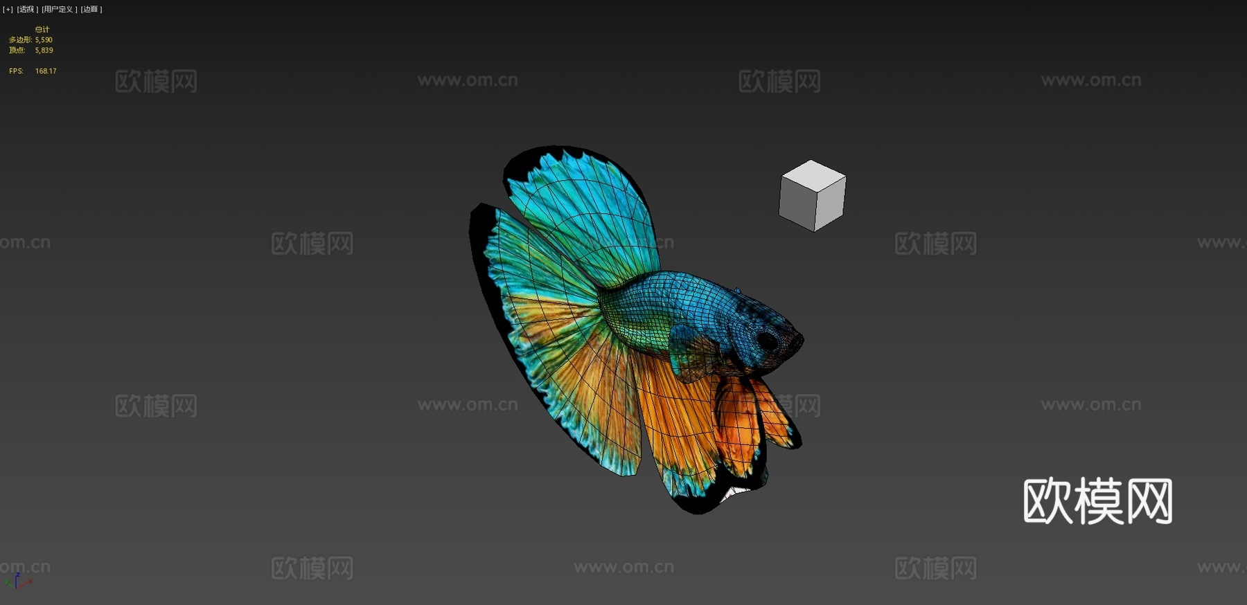 斗鱼3d模型