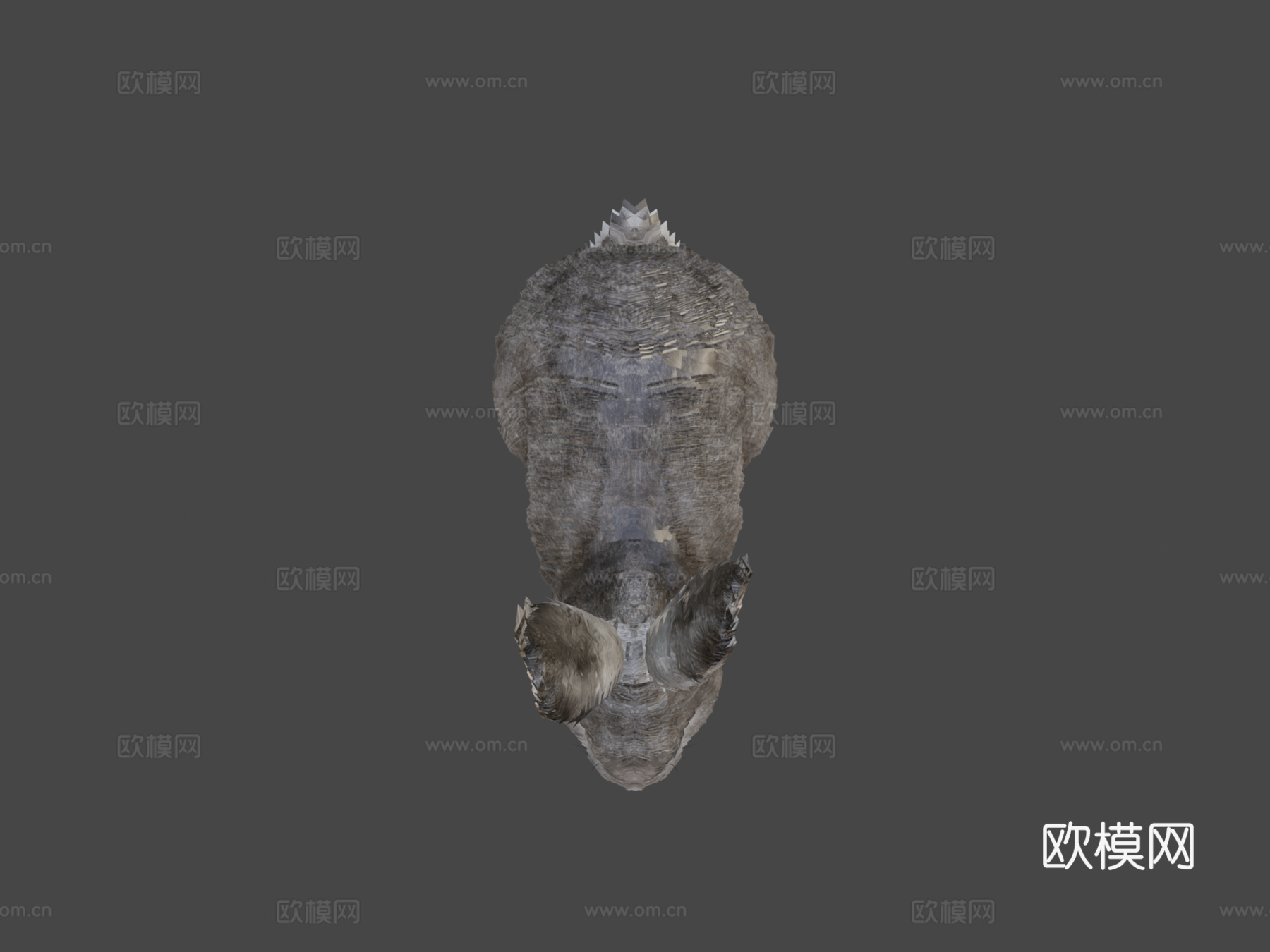 写实兔子3d模型