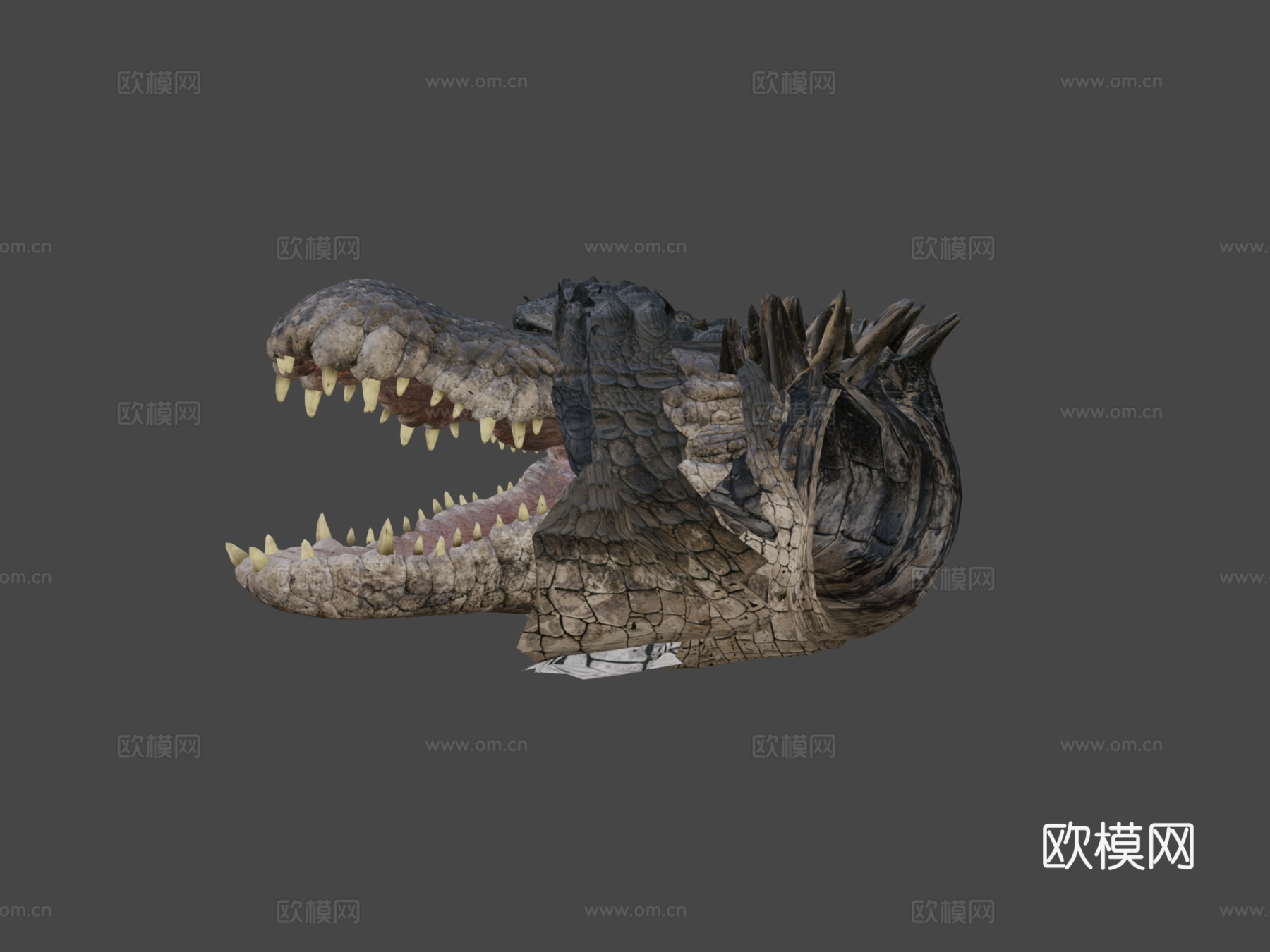 咸水鳄3d模型