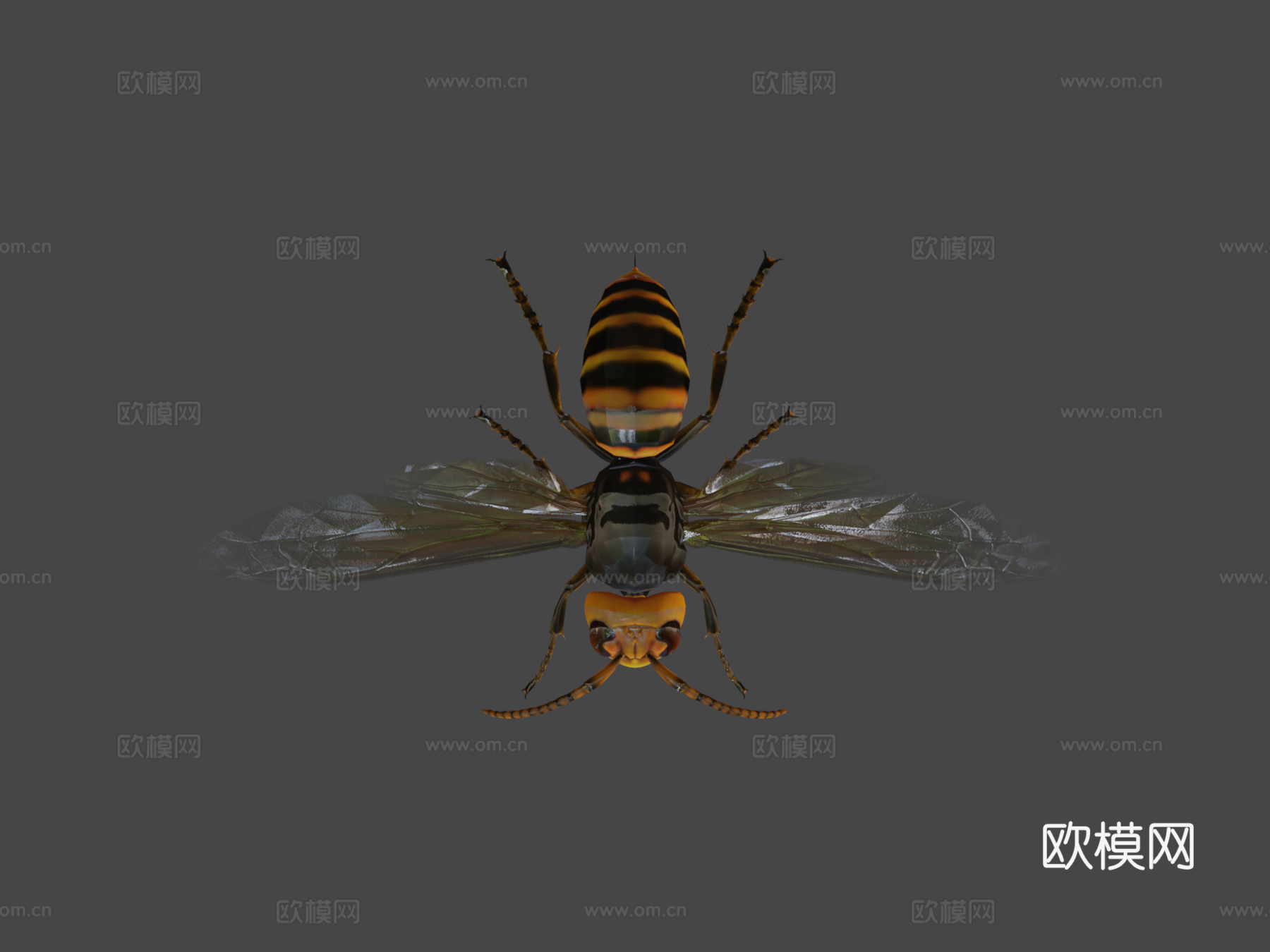 悬浮黄蜂3d模型