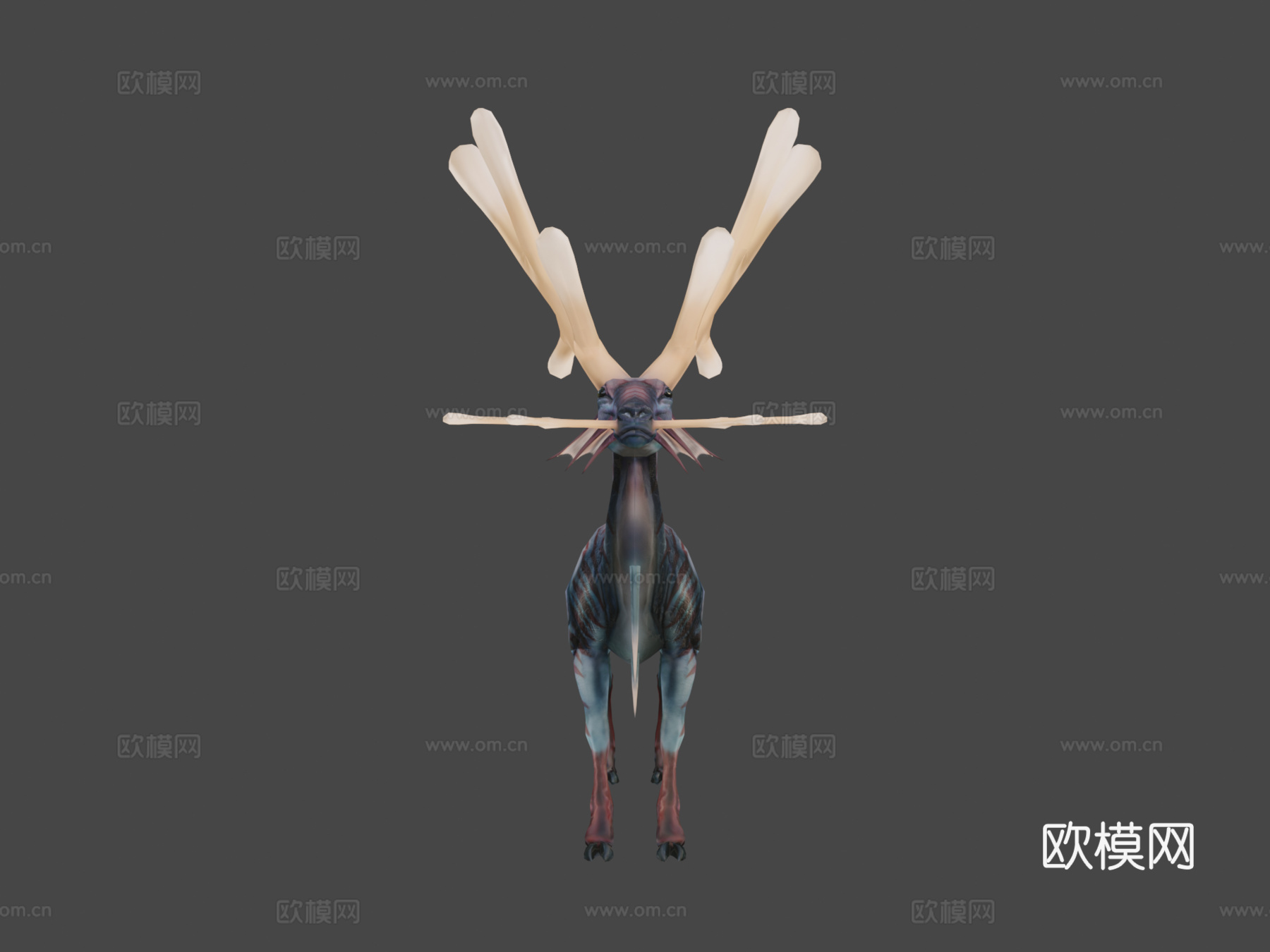 海葵鹿3d模型
