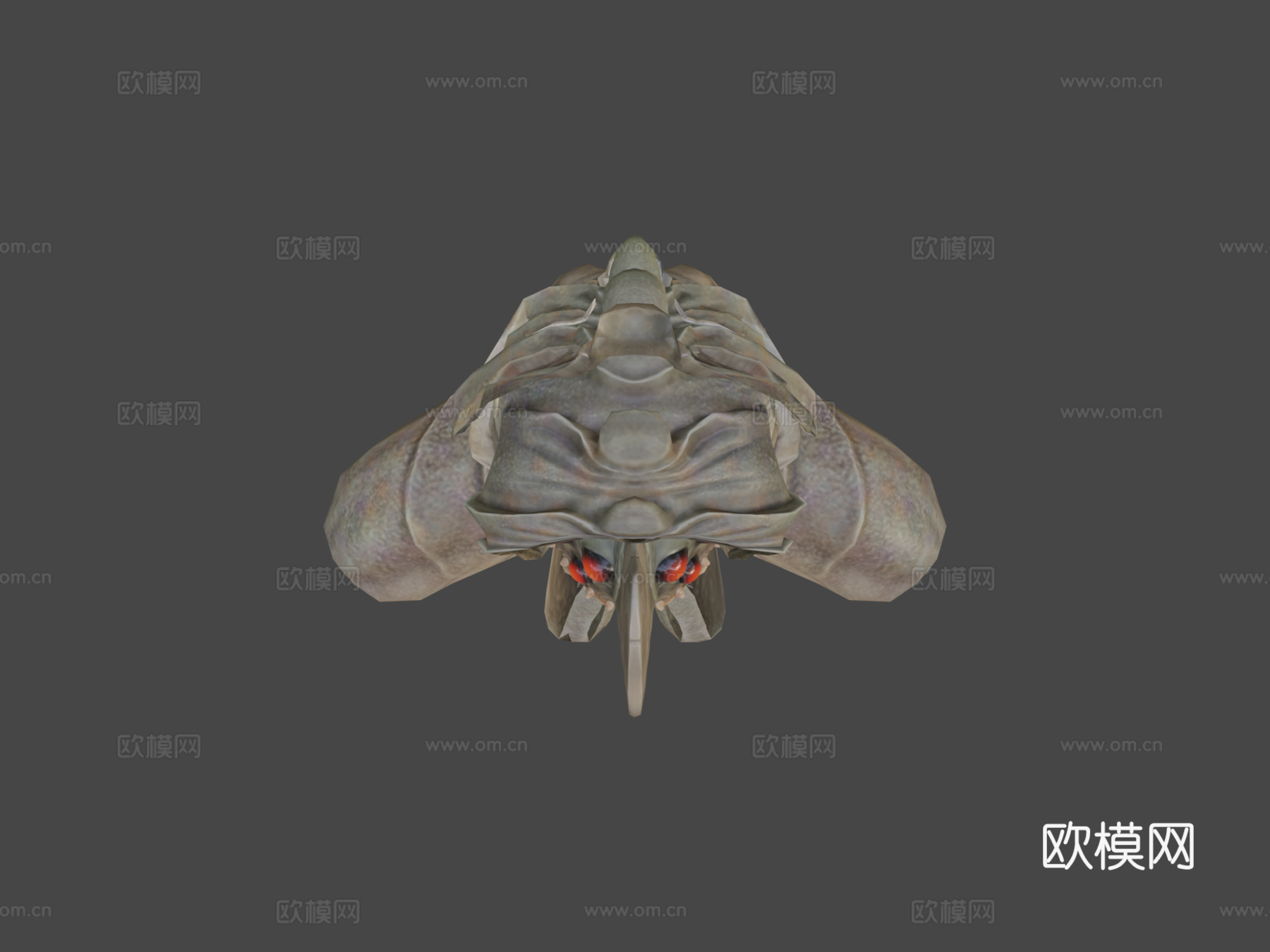 角喙龙动画3d模型