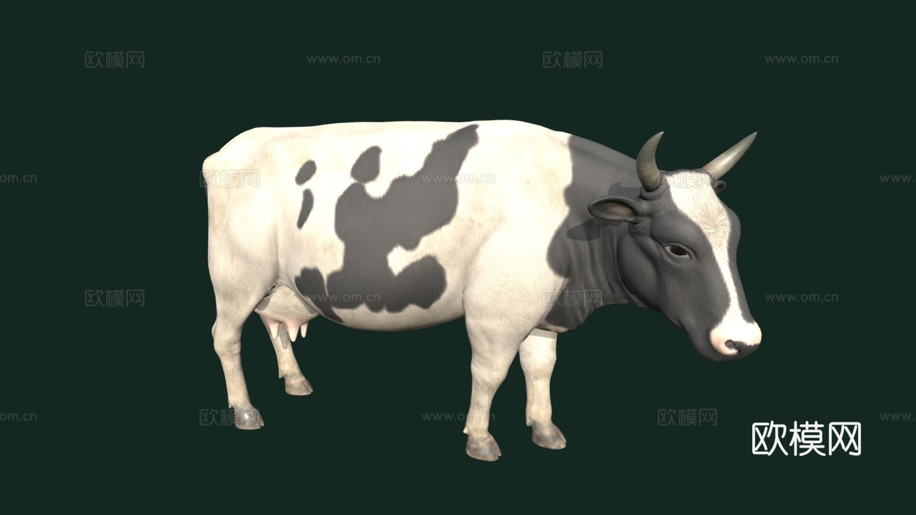 奶牛3d模型