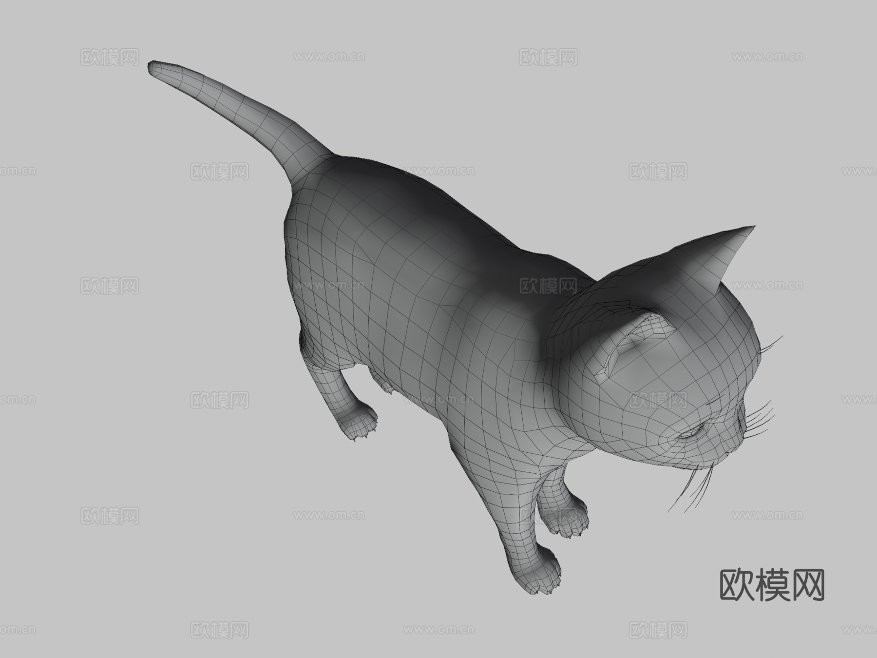 小虎猫3d模型