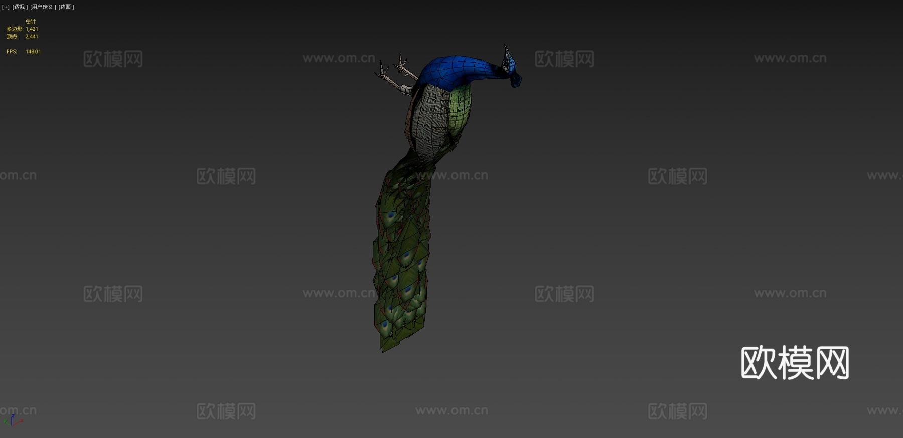孔雀3d模型