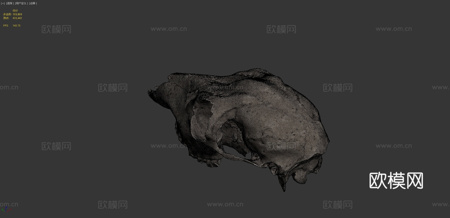 鹿头骨3d模型