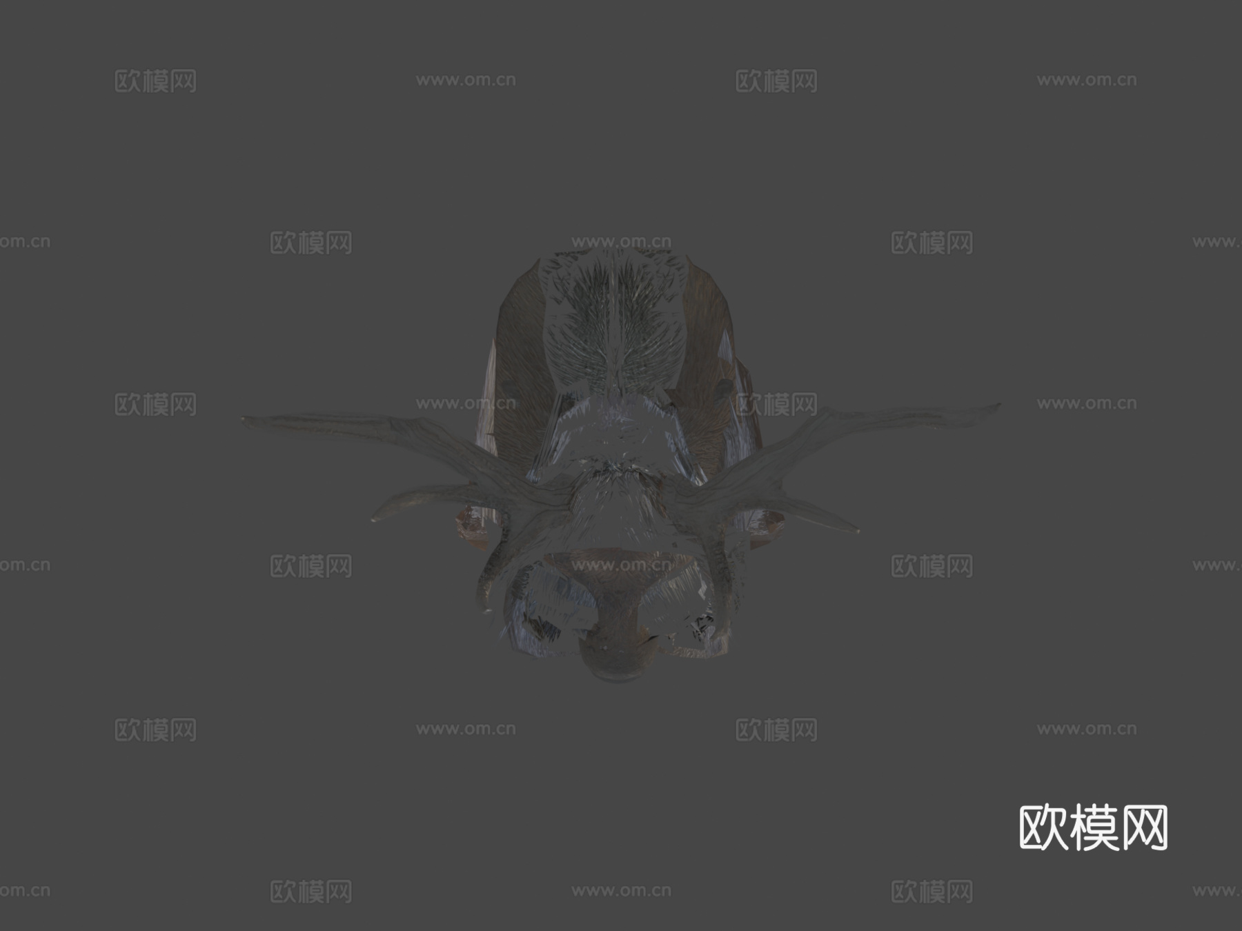 鹿行走循环动画3d模型