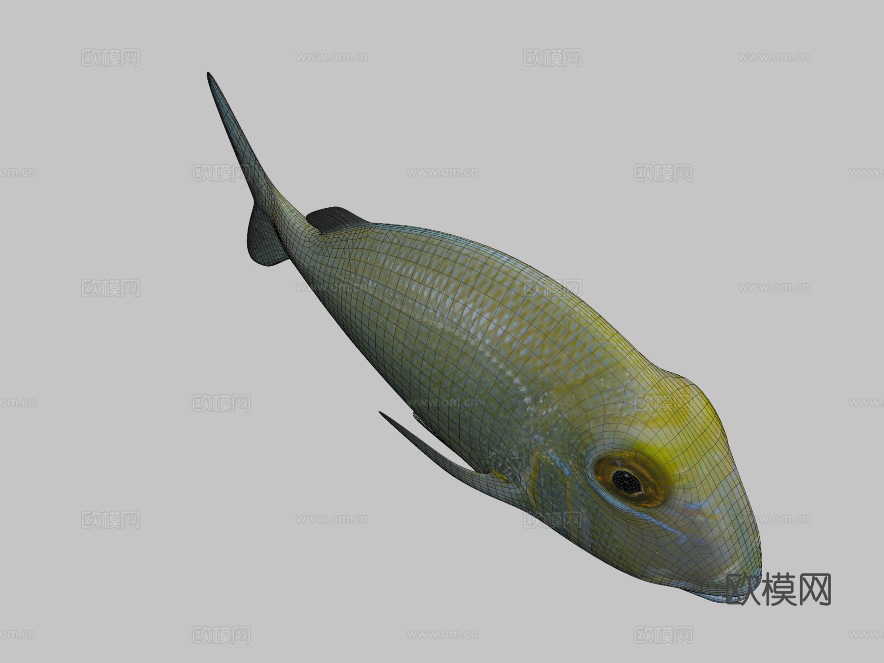 菖蒲菖蒲3d模型