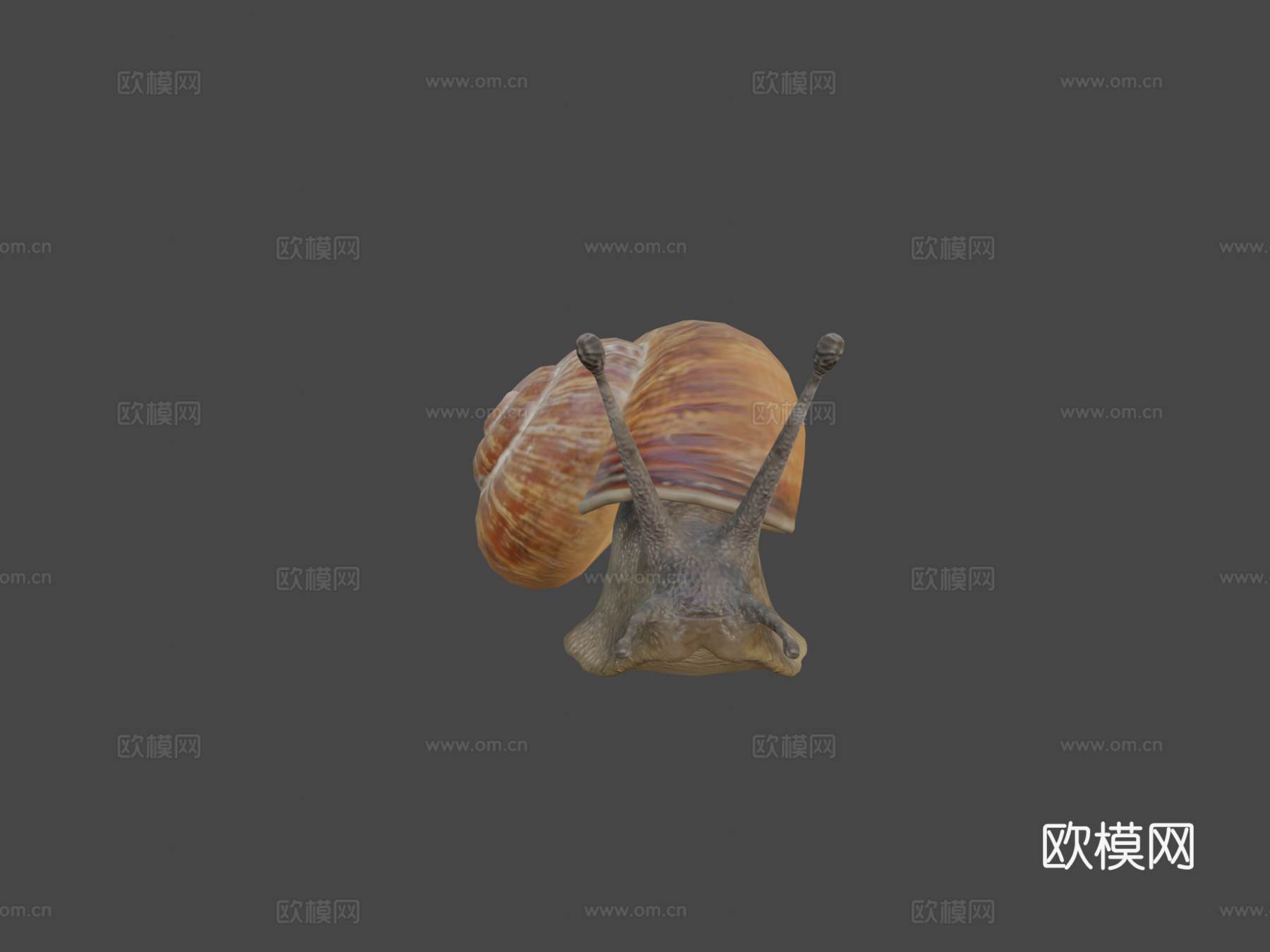 蜗牛3d模型